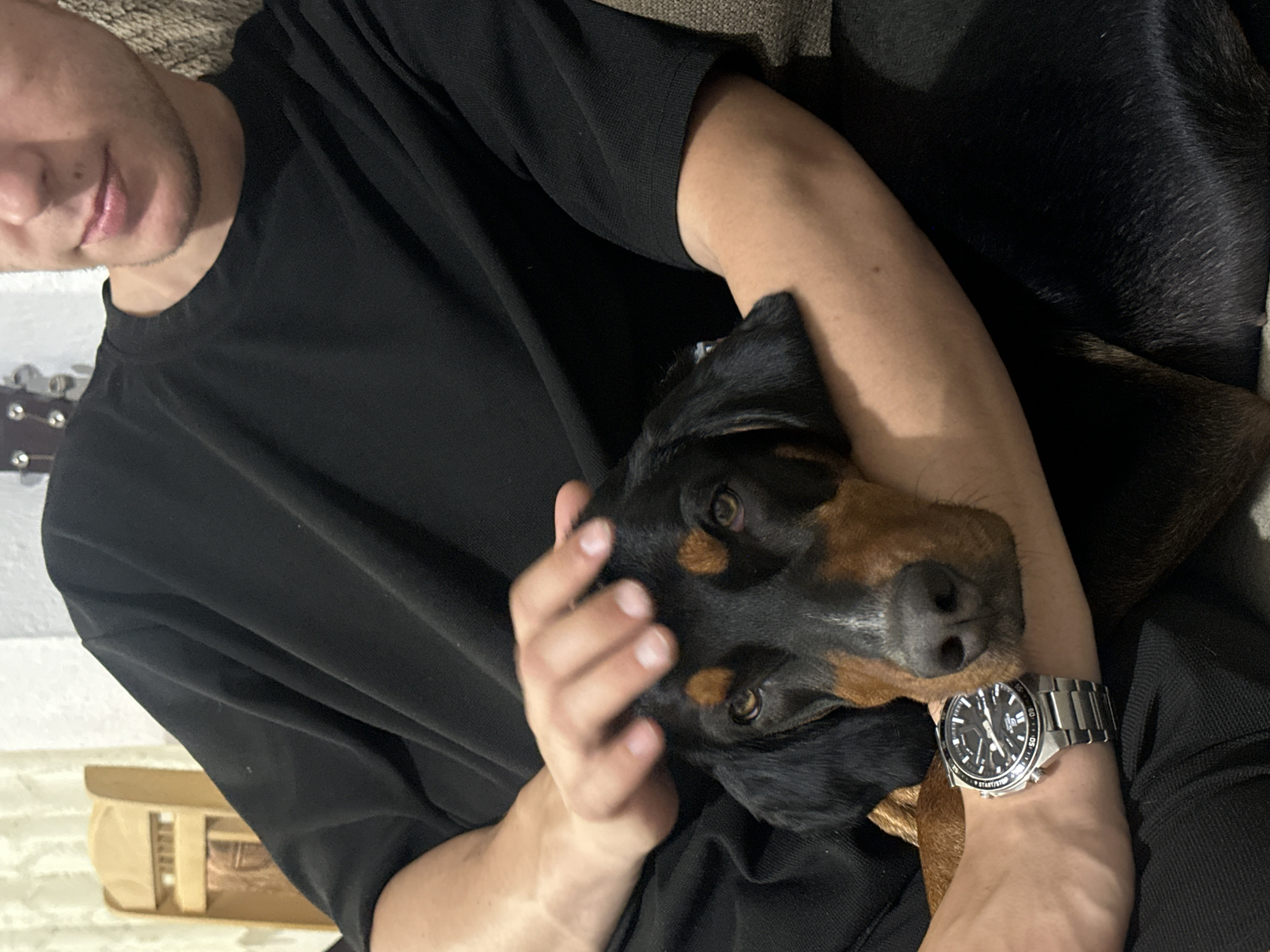 A close-up, medium shot depicts a person's arm and hand resting on a black and brown dog. The person is wearing a black t-shirt and a silver wristwatch. The dog is lying down, with its head supported by the person's arm and hand. The background is blurred but suggests an indoor setting with a wooden chair visible on the left. The lighting is dim, creating a warm and intimate atmosphere. The specific location in Detelina, Bulgaria, cannot be determined from the image.