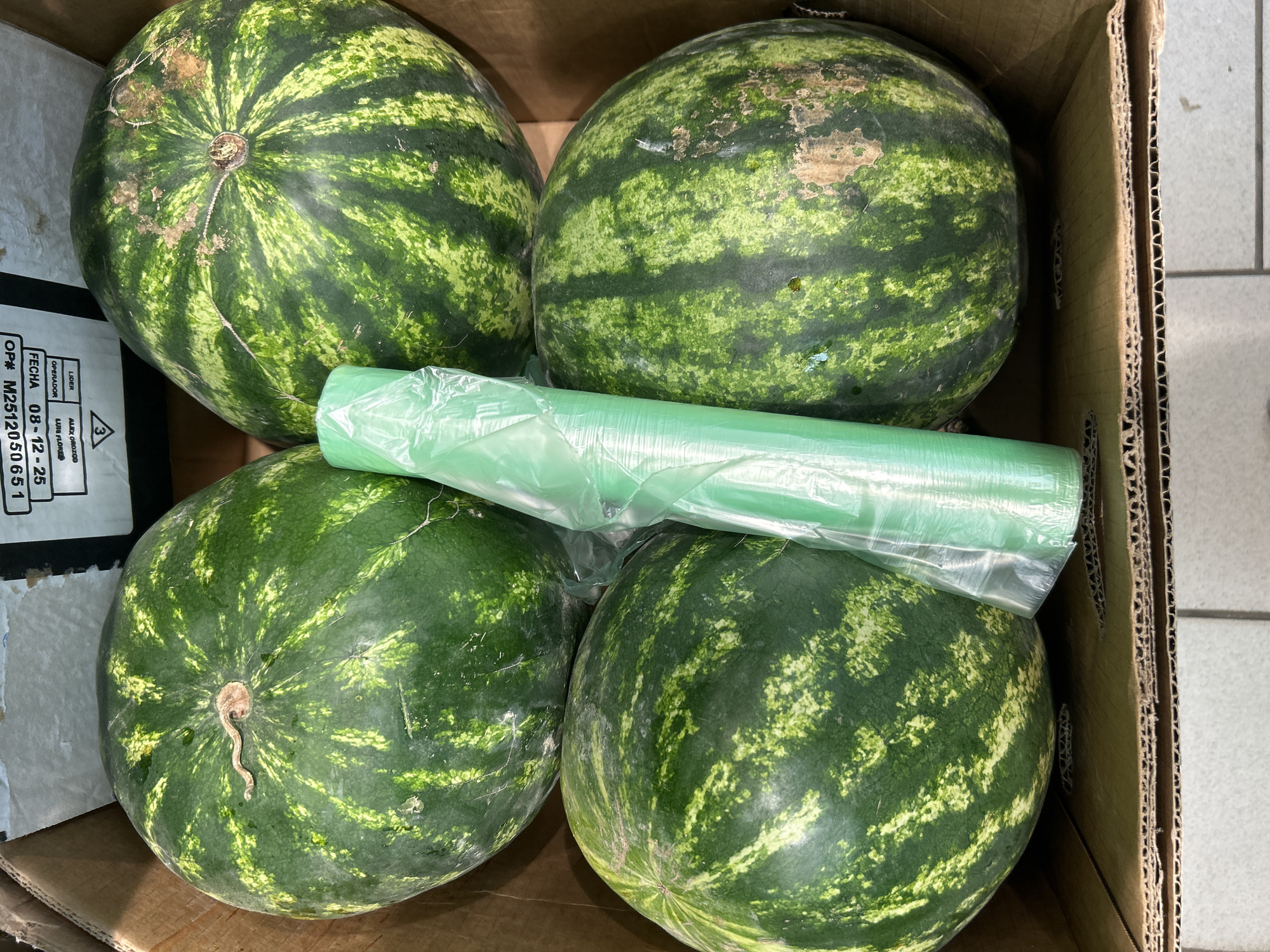 In a cardboard box, four watermelons are arranged. A roll of green plastic is placed in the center of the box, between the watermelons. The box is inside what appears to be a retail environment, with a label visible on the top left corner of the box that has text printed on it. There is no information in the image to suggest this is located in Orenburg, Russia.