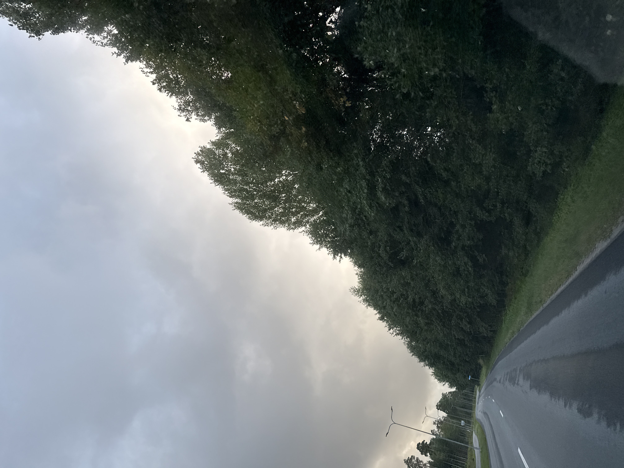 The image shows a road in Kangru alevik, Estonia, with a line of trees on the right side. The road is wet, suggesting it may have rained recently. The sky is overcast with clouds. There are streetlights visible along the side of the road. The trees are dense and green, with some appearing to be deciduous. The overall scene suggests a rural or semi-rural setting.