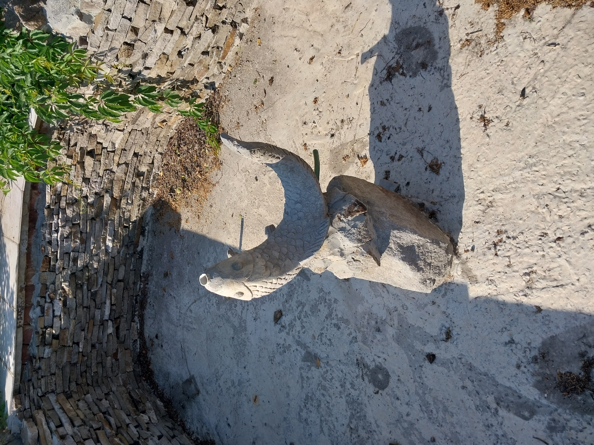 The image shows a stone statue of a fish in what appears to be a circular, stone-lined pit. The pit has a concrete or stone floor that is somewhat uneven and has scattered debris. The walls of the pit are constructed from rough-hewn stones of varying sizes, creating a rustic appearance. Green vines are growing over the top of the wall on the right side of the image, with some leaves hanging down into the pit. The statue itself is light-colored, likely stone or concrete, and depicts a fish with a curved body and a slightly upturned tail. The fish is positioned on top of a natural rock. Sunlight is casting a shadow of the fish statue and the surrounding wall onto the floor of the pit. The scene is outdoors, under a clear sky. There are no people visible in the image. This scene is located in the city of Petrykivka, Ukraine.