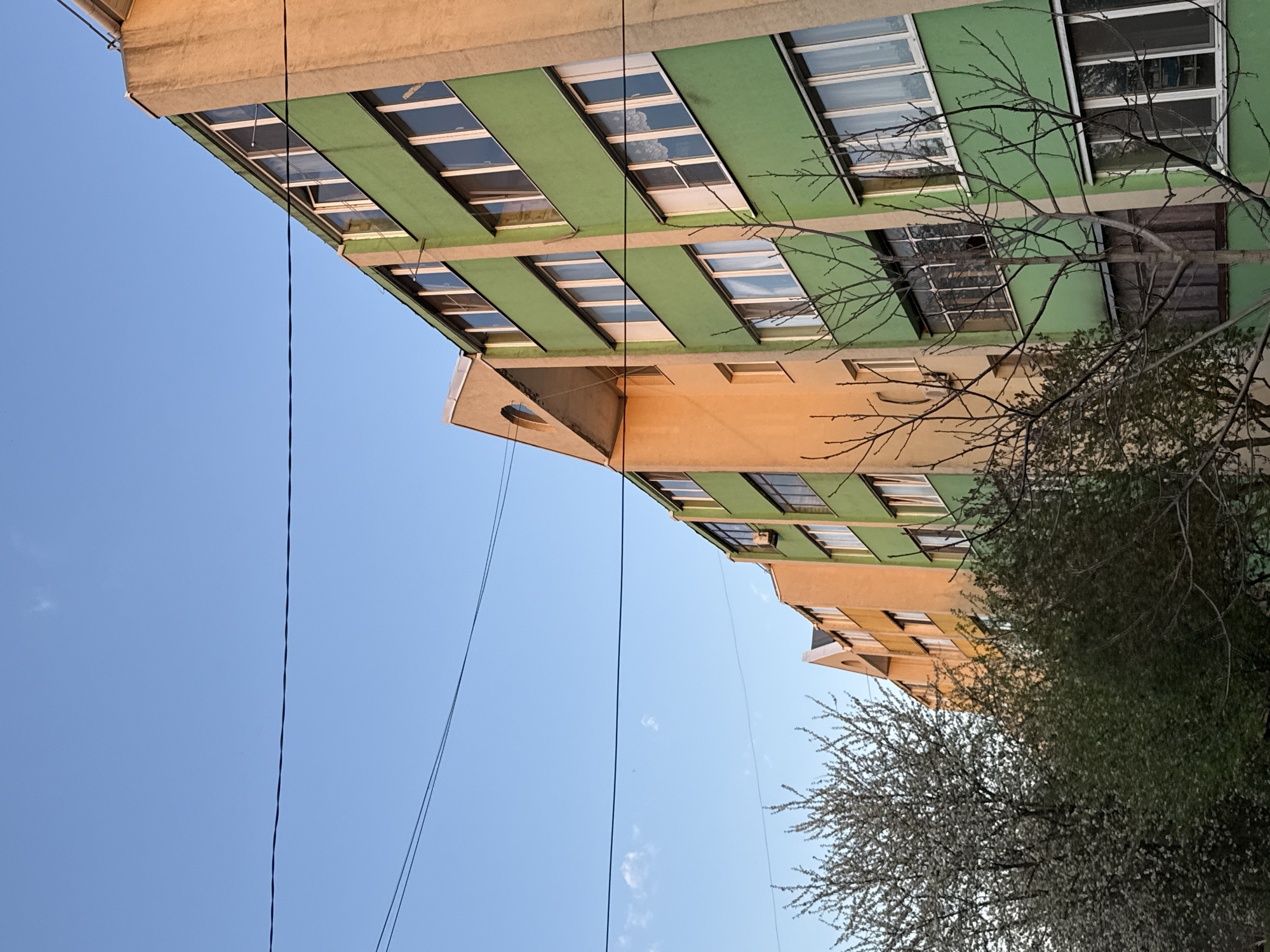 An upward-angled, outdoor shot shows a multi-story building with a tan and green facade and a few trees, against a blue sky.
The building appears to have several floors, characterized by horizontal bands of green and tan. Each band is pierced by a row of windows. Electrical wires are visible crossing the frame against the sky, running parallel to the left edge of the image. The trees, located on the right of the frame, have thin branches, with one in full bloom and one with sparse foliage.
The image is rotated in a way that gives an odd perspective. The perspective and architecture may match that of a Severnyi, Russia cityscape.