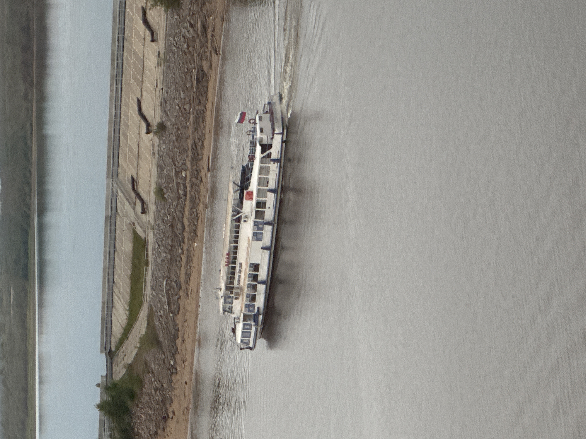 This image captures a river scene in Khabarovsk, Russia, under overcast conditions. A white, two-deck passenger boat, featuring blue accents and a red upper roof, navigates the grayish-brown river from left to right, generating a visible wake. The boat's upper deck displays the Cyrillic text "КРАСИН" (KRASIN), while its lower deck bears "КАПИТАН ХОЛМАНОВ" (KAPITAN KHOLMANOV). A Russian tricolor flag is affixed to the boat's stern.
The adjacent riverbank transitions from a rocky, sandy shore to a multi-tiered concrete embankment or structure. This concrete formation includes various levels, some equipped with railings. On one lower concrete platform, three dark, wavy or serpentine-shaped objects are horizontally arranged. Sparse green vegetation, including small trees and bushes, grows along the natural and constructed portions of the bank. In the background, a distant landmass covered in dense forest is visible. No individuals are distinctly present or identifiable within the scene.