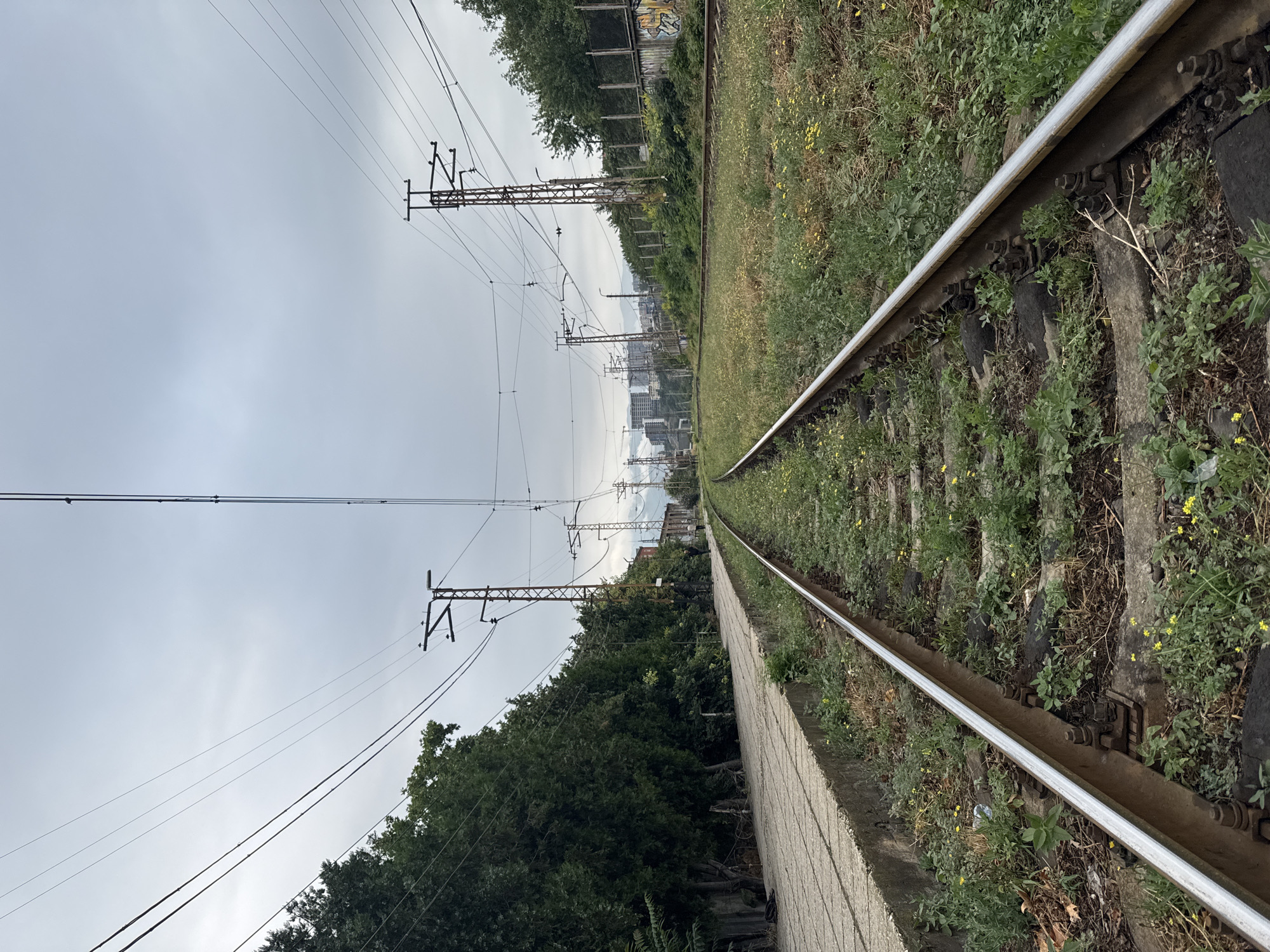An overcast, daytime, ground-level shot captures a set of railroad tracks receding into the distance through a somewhat overgrown, grassy area. The tracks, made of steel rails and concrete sleepers, are in the foreground and center of the image. To the left of the tracks is a concrete platform, bordered by a line of dense green trees. To the right, the grassy area continues, with more trees and vegetation in the background. Overhead, numerous electrical wires, supported by metal poles, crisscross the sky, indicating an electrified railway. In the far distance, the outlines of buildings and structures are visible against the cloudy sky, suggesting an urban or semi-urban environment. The scene appears to be a functional but somewhat neglected railway line.