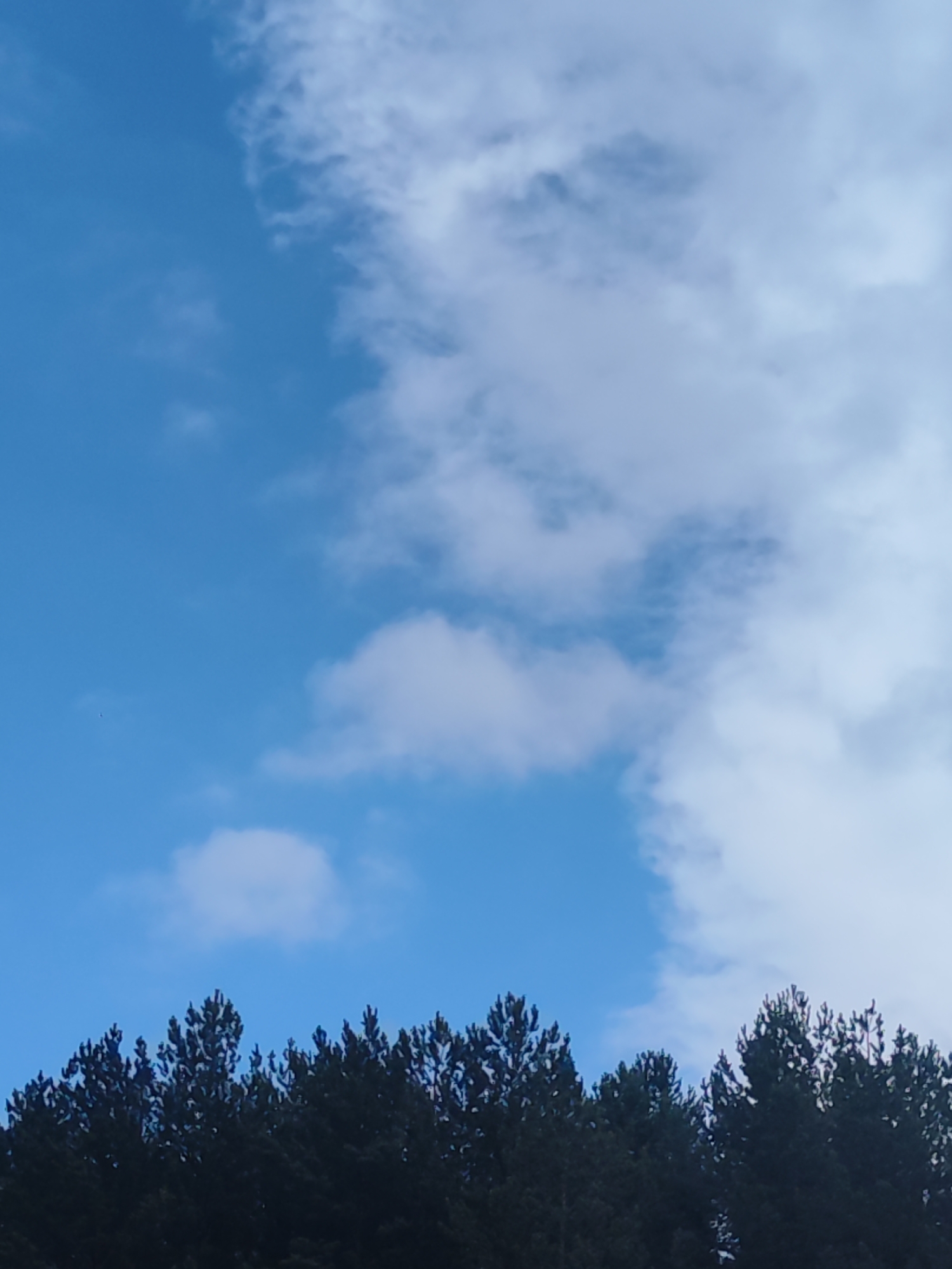 The image shows a view of the sky above a line of dark evergreen trees. The sky is mostly blue, with patches of white clouds of varying density. The trees are silhouetted against the sky, suggesting they are a relatively long distance from the camera. The exact location within the city of Chaikovsky, Russia cannot be determined without more information. The image does not contain any people, subjects, objects, actions, or interactions.