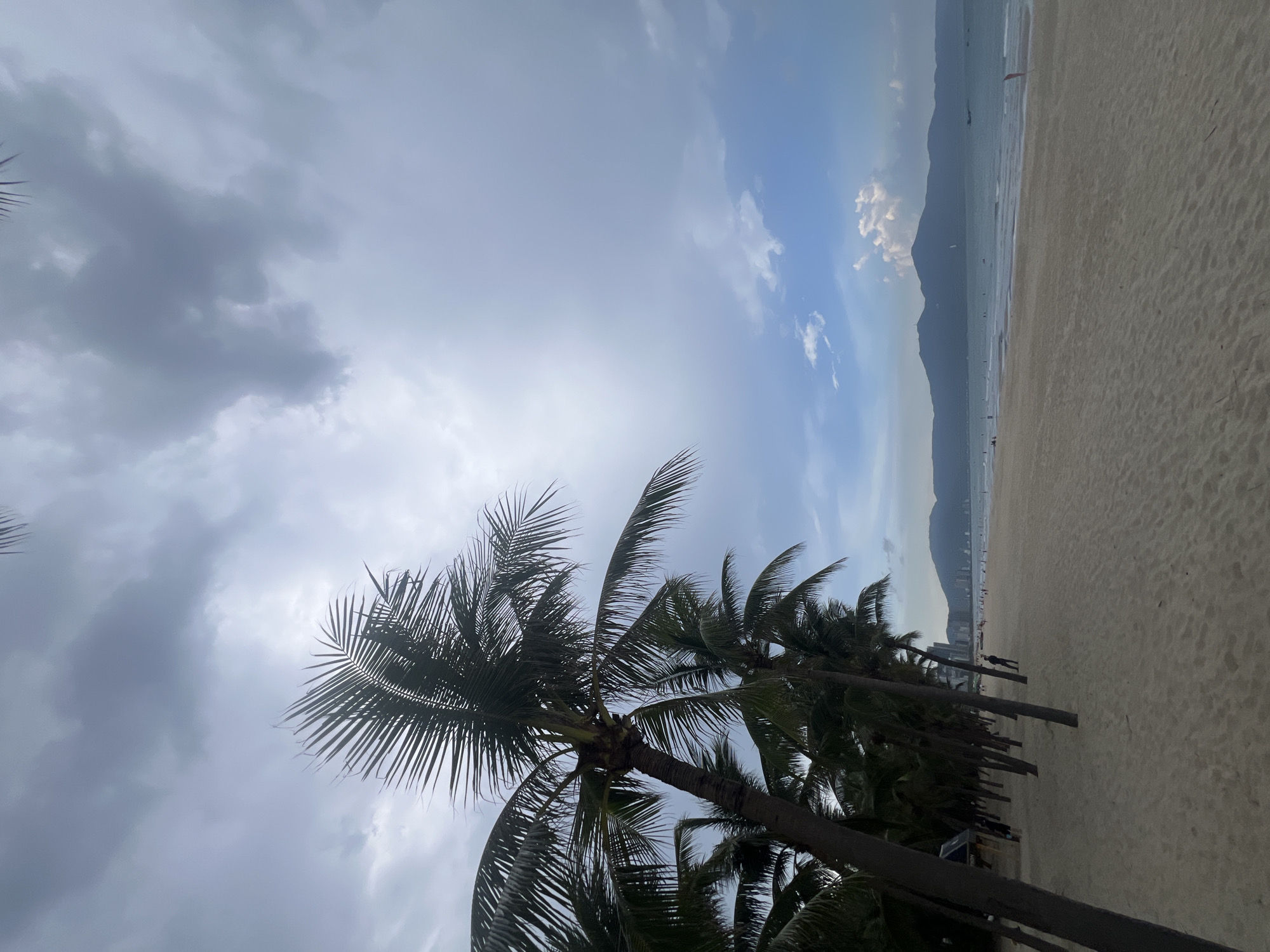 This is a landscape-oriented photograph taken from a beach in Da Nang, Vietnam. The scene depicts a tropical beach with a clear view of the ocean and a distant mountain range. In the foreground, several palm trees with lush green fronds are prominent, their silhouettes contrasting with the sky. The beach itself is covered in light-colored sand, and the ocean stretches out to the horizon, where it meets the mountains under a partly cloudy sky.
The sky is a mix of gray clouds and patches of blue, suggesting changeable weather, possibly early morning or late afternoon. The overall atmosphere is serene and natural, capturing the beauty of a coastal landscape.
Several small figures are visible on the beach and in the water, suggesting that people are present and engaging in recreational activities. These figures are too small to discern specific actions or details. The presence of what appears to be a city skyline along the coast near the mountains indicates a populated area.
There is no visible text in the image. The photograph evokes a sense of tranquility and the natural beauty of a beach destination.