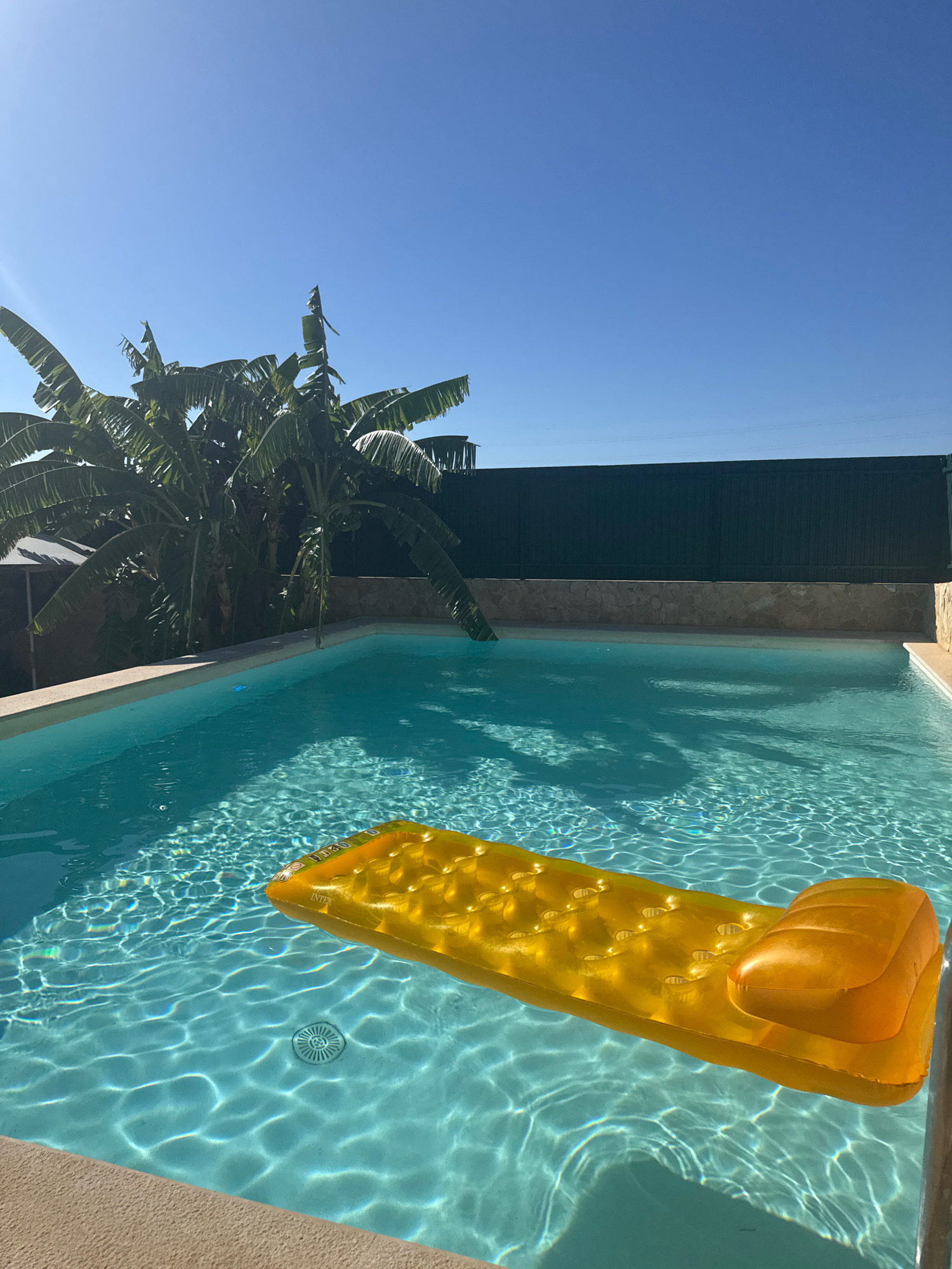 An Intex brand yellow inflatable pool float with a headrest is floating on the surface of a clear blue swimming pool. The pool water is sparkling, with visible ripples and sunlight reflections creating a shimmering effect. A drain grate is visible on the pool floor. The pool is surrounded by a light-colored coping. In the background, lush green banana trees with large leaves tower over the scene, casting shadows on the water. Beyond the trees, a dark green fence runs along the edge of the property, with a stone wall visible below it. The sky above is a clear, bright blue with no clouds. The location is identified as Albufeira, Portugal. There are no people present in the image.