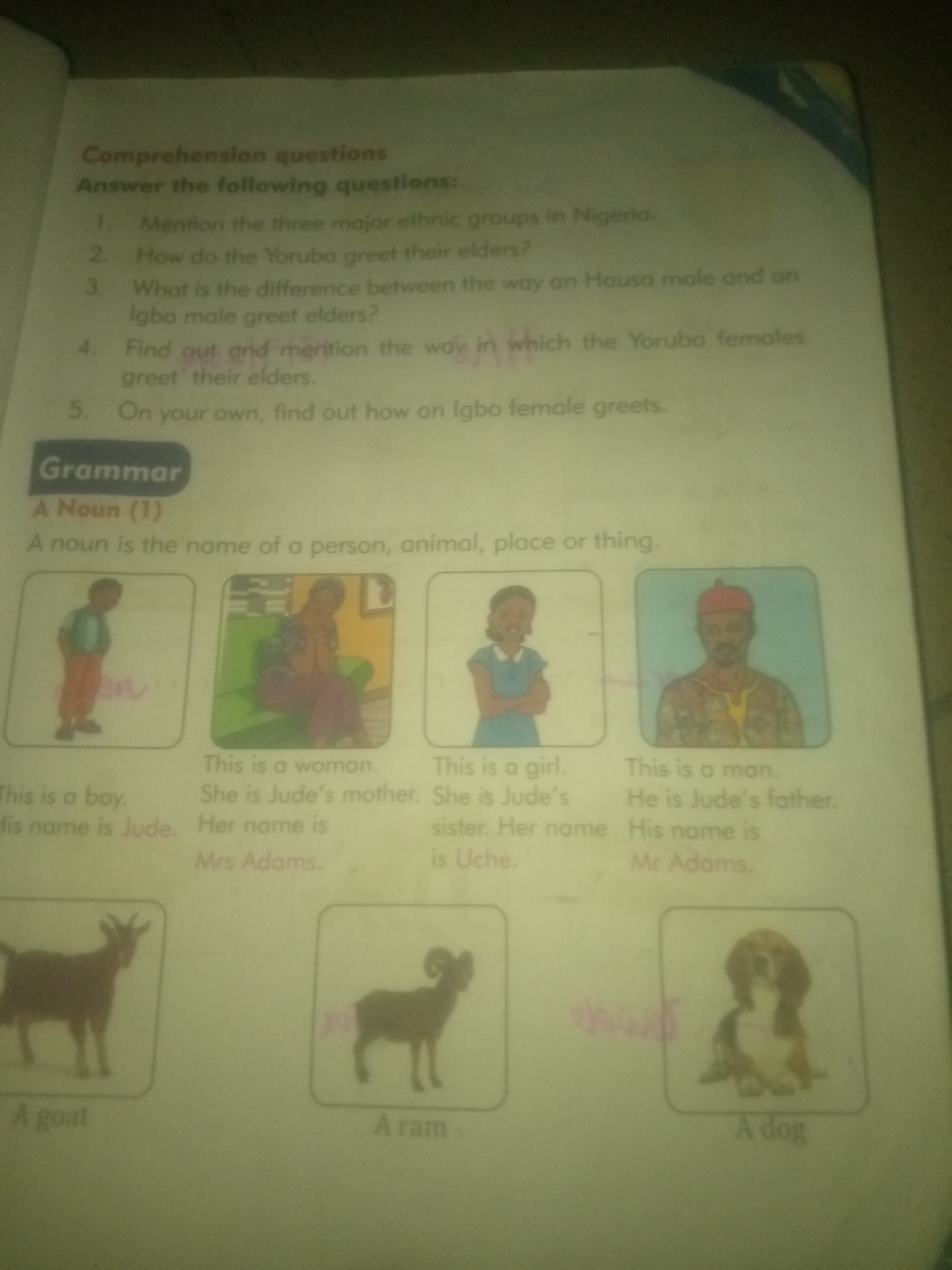 The image displays a page from a book, likely a children's educational text, focused on grammar and comprehension. The upper portion of the page contains a list of comprehension questions related to ethnic groups and greetings in Nigeria, but the specific location of Jauro Yinu is not mentioned. Below the questions, there is a section titled "Grammar" with a subtitle "A Noun (1)". This section defines a noun and provides illustrations with accompanying text. The illustrations depict: a boy named Jude, a woman identified as Mrs. Adams (Jude's mother), a girl named Uche (Jude's sister), and a man identified as Mr. Adams (Jude's father). Below these human figures, there are images of animals: a goat, a ram, and a dog, each labeled with its name. The overall presentation is educational and informative, aimed at teaching young learners about grammar and cultural context.