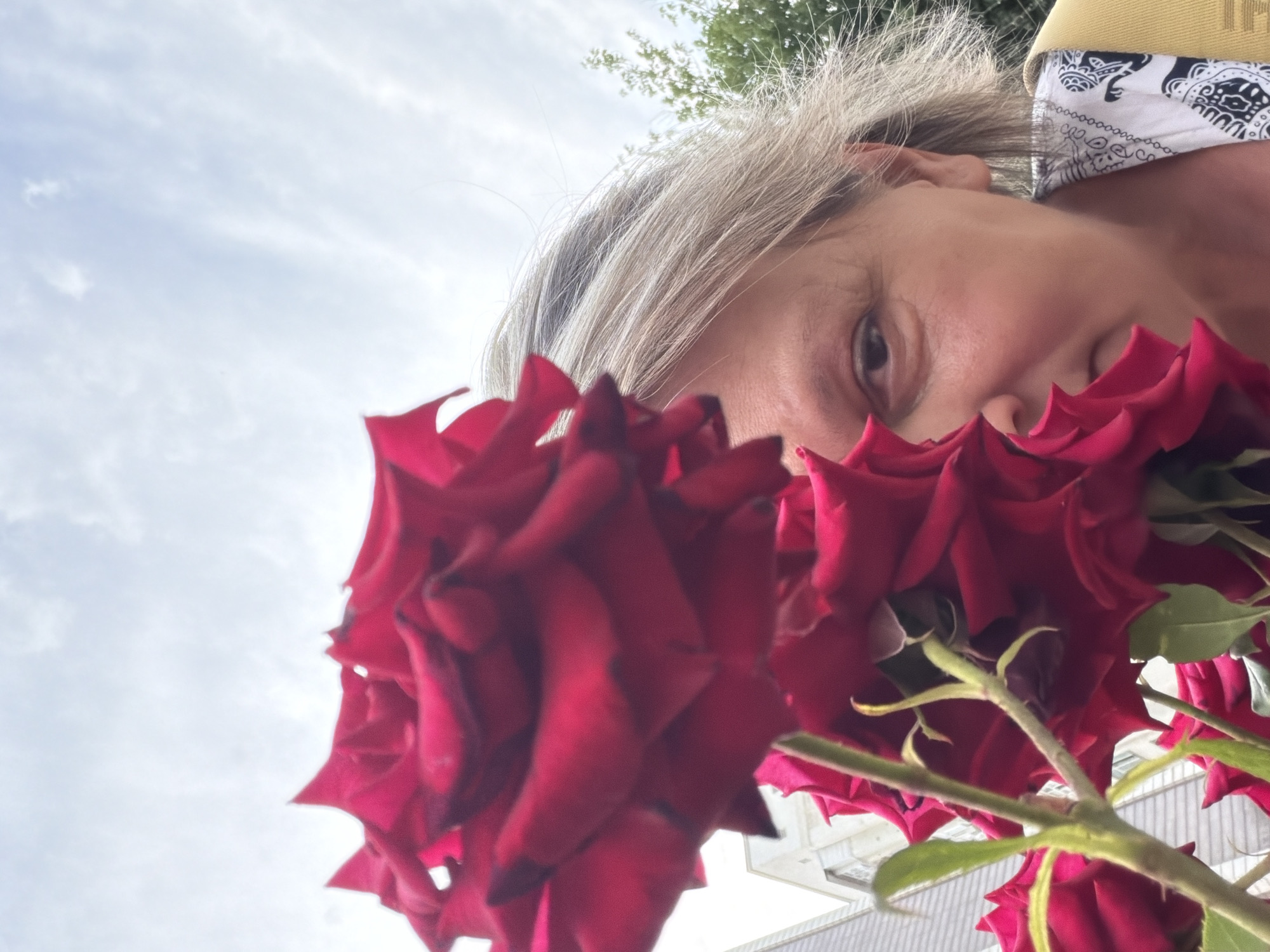 A close-up shot captures a woman peeking from behind a large, deep red rose. Her right eye and a portion of her nose are visible, with her blonde hair framing her face. She wears a yellow top with a white and black patterned collar. The background shows a cloudy sky and a hint of a building. The image is taken from a low angle, emphasizing the size of the rose.