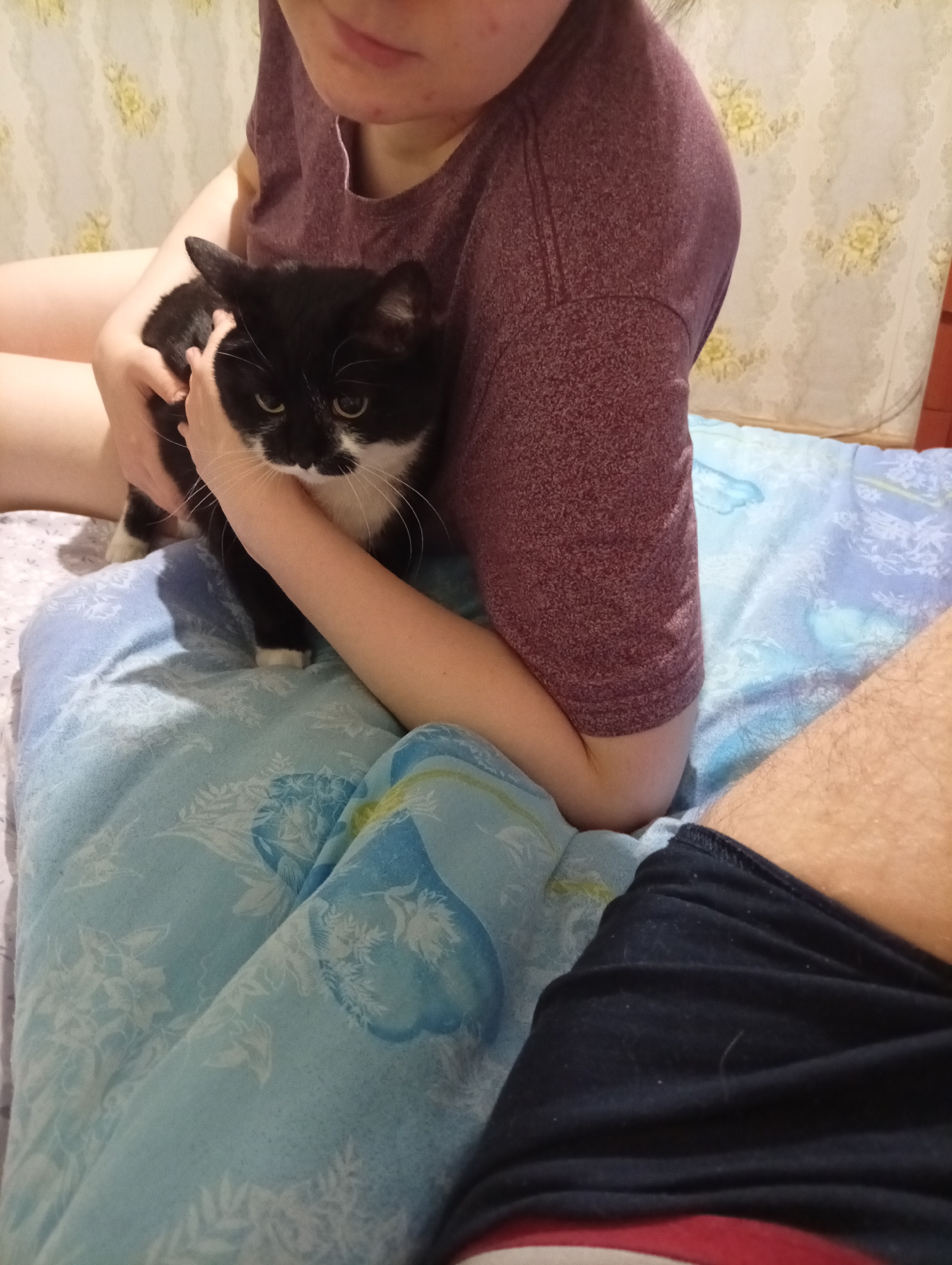 A person wearing a burgundy t-shirt and dark shorts is holding a black and white cat. The person's arms are around the cat, and the cat is looking towards the camera with green eyes and white whiskers. The scene appears to be indoors, possibly on a bed with a light blue and white patterned sheet. The background shows a wall with a floral pattern and some wooden furniture. The lighting is dim, suggesting it might be nighttime or an indoor setting with minimal light. The overall impression is one of a casual and intimate moment between a person and their pet.
