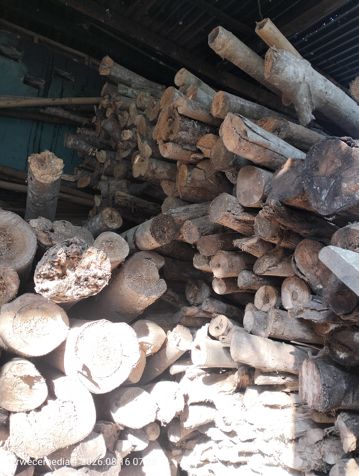 The image depicts a large stack of cut logs, likely for firewood, stored outdoors under a corrugated metal roof. The logs vary in diameter and length, and many show rough, uneven ends from being cut. Some logs are covered in bark, while others are bare wood. The lighting suggests it is daytime, with sunlight filtering through gaps in the roof and casting shadows on the wood. A teal-colored wall is partially visible in the background, along with some bamboo poles. The bottom right corner of the image has a watermark that reads "crwecemedia 1 2026.08.16 07:38". The scene appears to be in Imogiri, Indonesia, likely a residential or storage area where firewood is kept. There are no people or animals visible in the image.