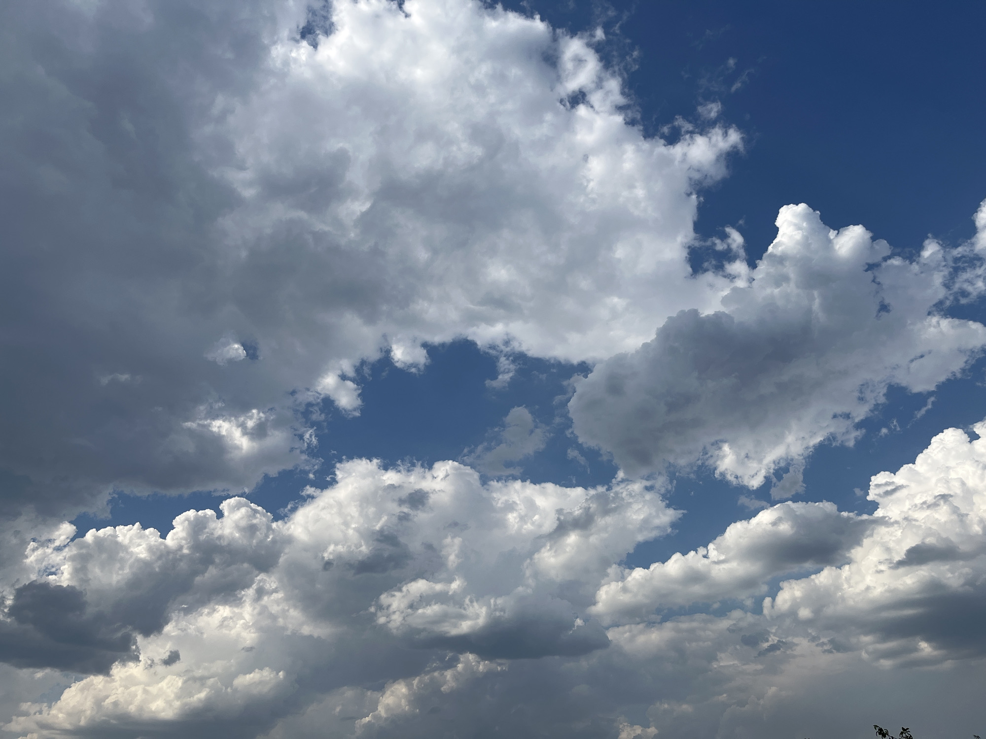 The image depicts a dynamic sky filled with a mix of white, fluffy cumulus clouds and darker, more ominous storm clouds. The blue sky peeks through in scattered patches. The lighting suggests it is daytime, with sunlight illuminating the tops of the clouds. There are no people, animals, buildings, or any identifiable objects from the city of Taganrog City District, Russia, visible in the frame. The image exclusively focuses on the atmospheric conditions.