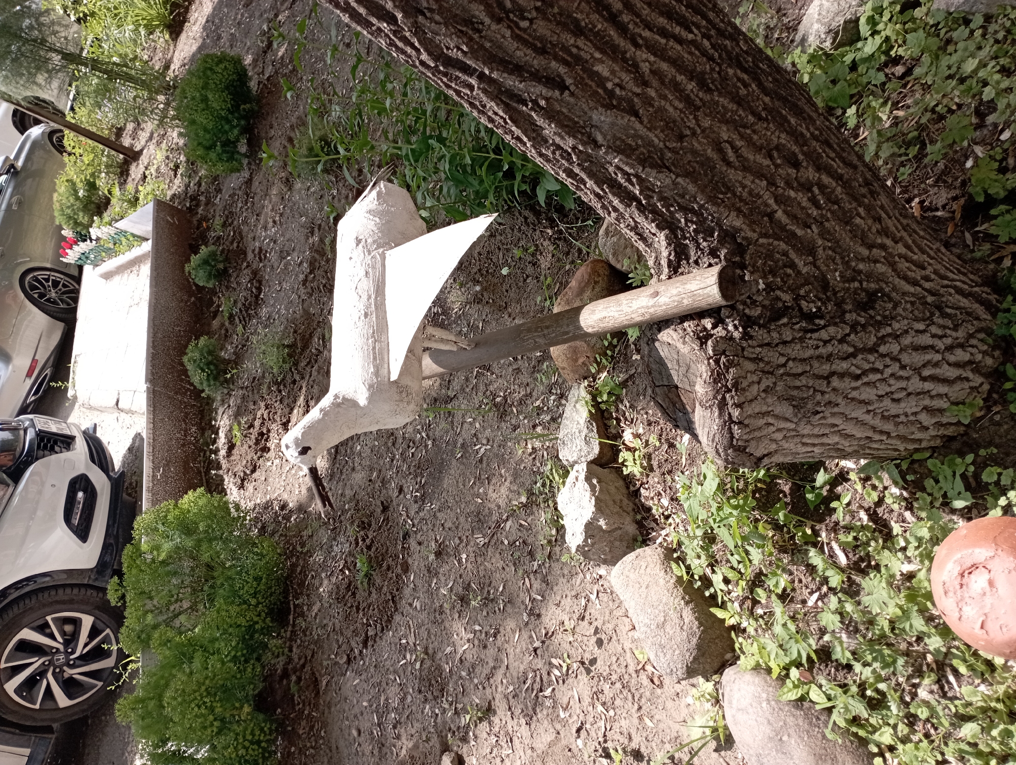 In Blagoveshchensk, Russia, a white, stylized bird sculpture is mounted on a wooden post in a garden setting. The sculpture, made of what appears to be plaster or cement, is positioned in front of a large tree trunk with rough bark. In the background, the front portion of a white car is visible, parked on a paved surface. To the left of the sculpture, a lush green bush with small leaves and numerous small, green seed pods is growing. The ground is covered with dirt, scattered leaves, and small stones.