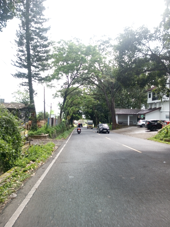 The image depicts a daytime street scene in Domphoog_Dungkarchhoeling, Bhutan, under an overcast sky. A two-lane asphalt road extends from the foreground into the distance, with a continuous white line marking its left edge and a broken yellow line indicating the center for two-way traffic.
On the left side of the road, dense green vegetation, including tall grass and small plants, lines a drainage ditch or culvert. Behind this vegetation, a low barrier or fence constructed from corrugated metal and other materials is visible. Further left, a tall, slender coniferous tree stands prominently, while several utility poles with overhead lines are spaced along the roadside. A yellow diamond-shaped road sign is mounted on a pole further down the left side.
On the right side of the road, lush green trees form a partial canopy overhead, arching towards the road. Further into the scene, a white, single-story building with a brown tiled roof and open arches is situated off the road, functioning as a shelter or small structure. Adjacent to it, a paved parking area contains several parked vehicles, including a dark SUV/sedan, a white car, and a red car. Behind this structure, a multi-story white building with visible windows is present.
Traffic is observed on the road. A dark-colored motorcycle, operated by a single rider wearing a dark helmet, travels away from the viewer in the left lane. Further ahead in the same lane, a light-colored van proceeds in the same direction. In the right lane, a dark-colored SUV or sedan travels towards the viewer, with its headlights illuminated.