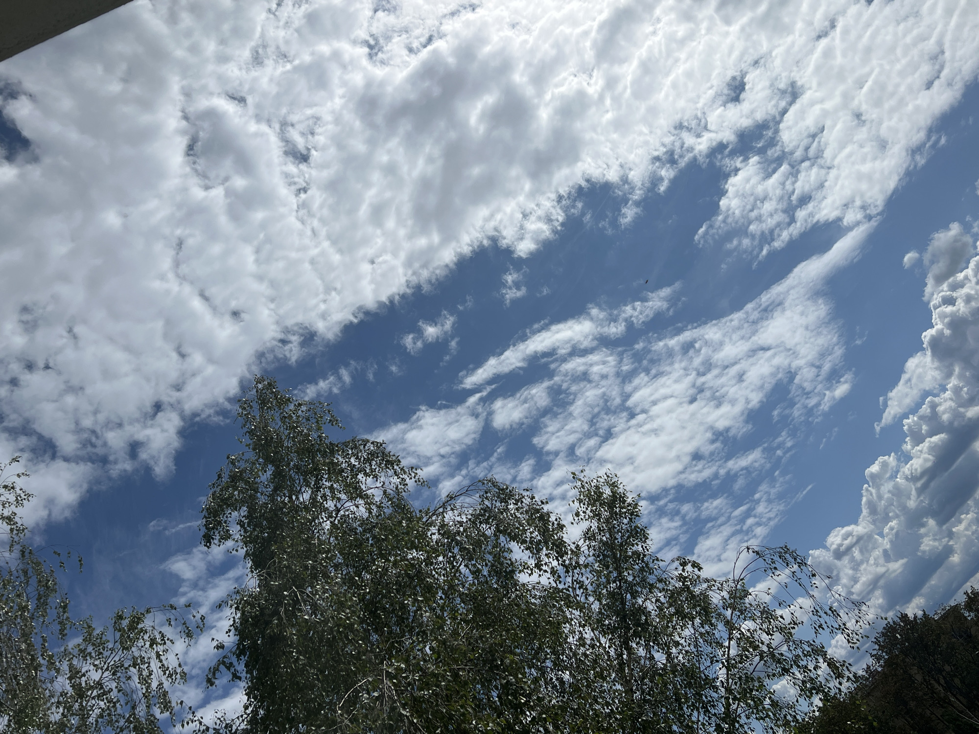 The image shows a view looking up at a blue sky filled with various types of clouds, including wispy cirrus clouds and more textured cumulus clouds. On the left side of the frame, the branches and leaves of a tree extend into the sky, obscuring a portion of the clouds. The lighting suggests it is daytime, likely with the sun partially obscured by clouds. The scene appears to be an outdoor environment, possibly a park or residential area, given the presence of the tree. There are no people or specific urban landmarks visible that would clearly identify the location as Warsaw, Poland.