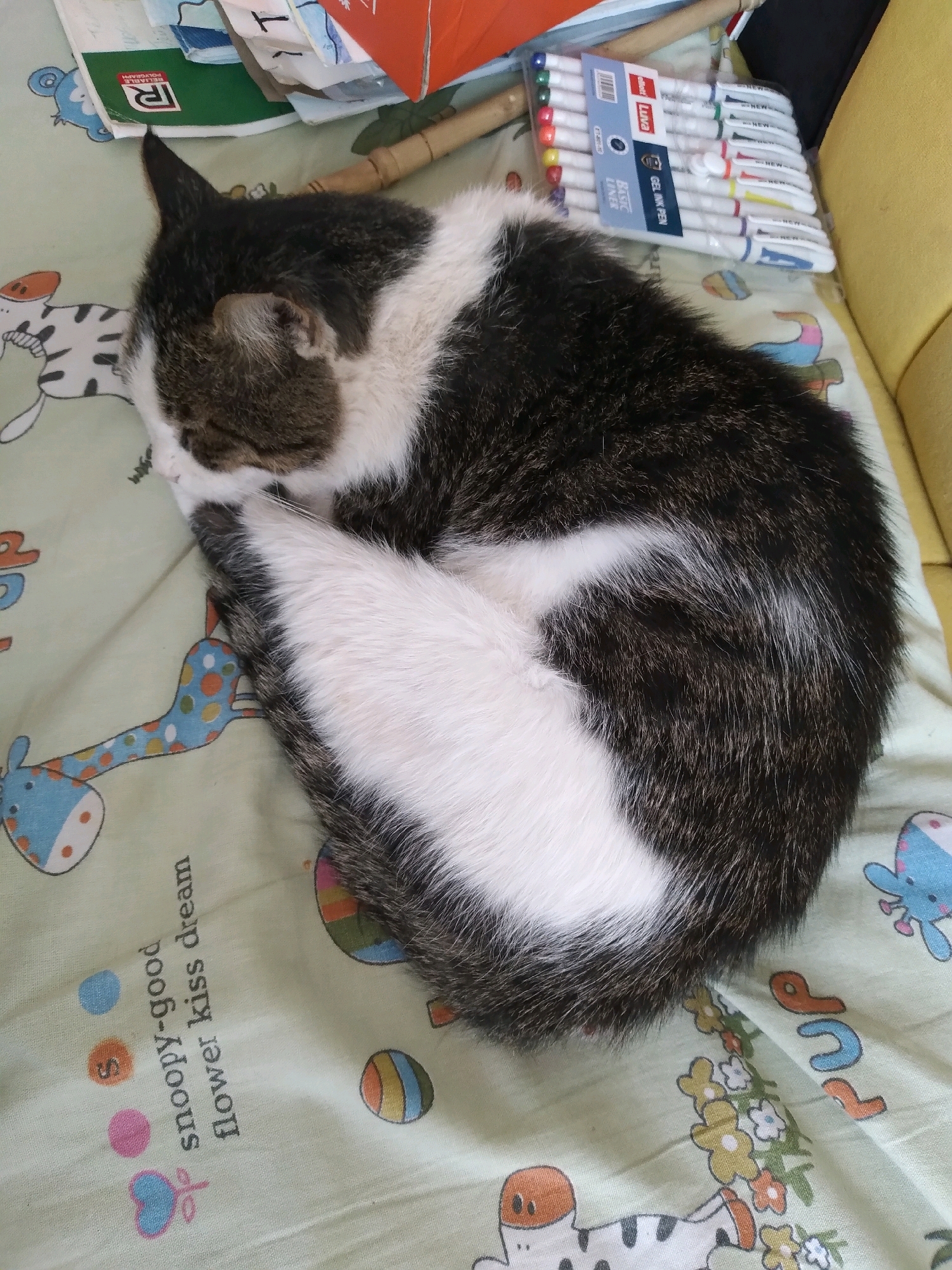A black and white cat is curled up and sleeping on a light green patterned blanket. The blanket features cartoon animals and text in English, including "snoopy-good" and "flower kiss dream". A package of gel ink pens is visible to the right of the cat. In the background, there are some books and a yellow surface, possibly a sofa. The image does not provide any information or context related to the city of Baki, Uzbekistan.
