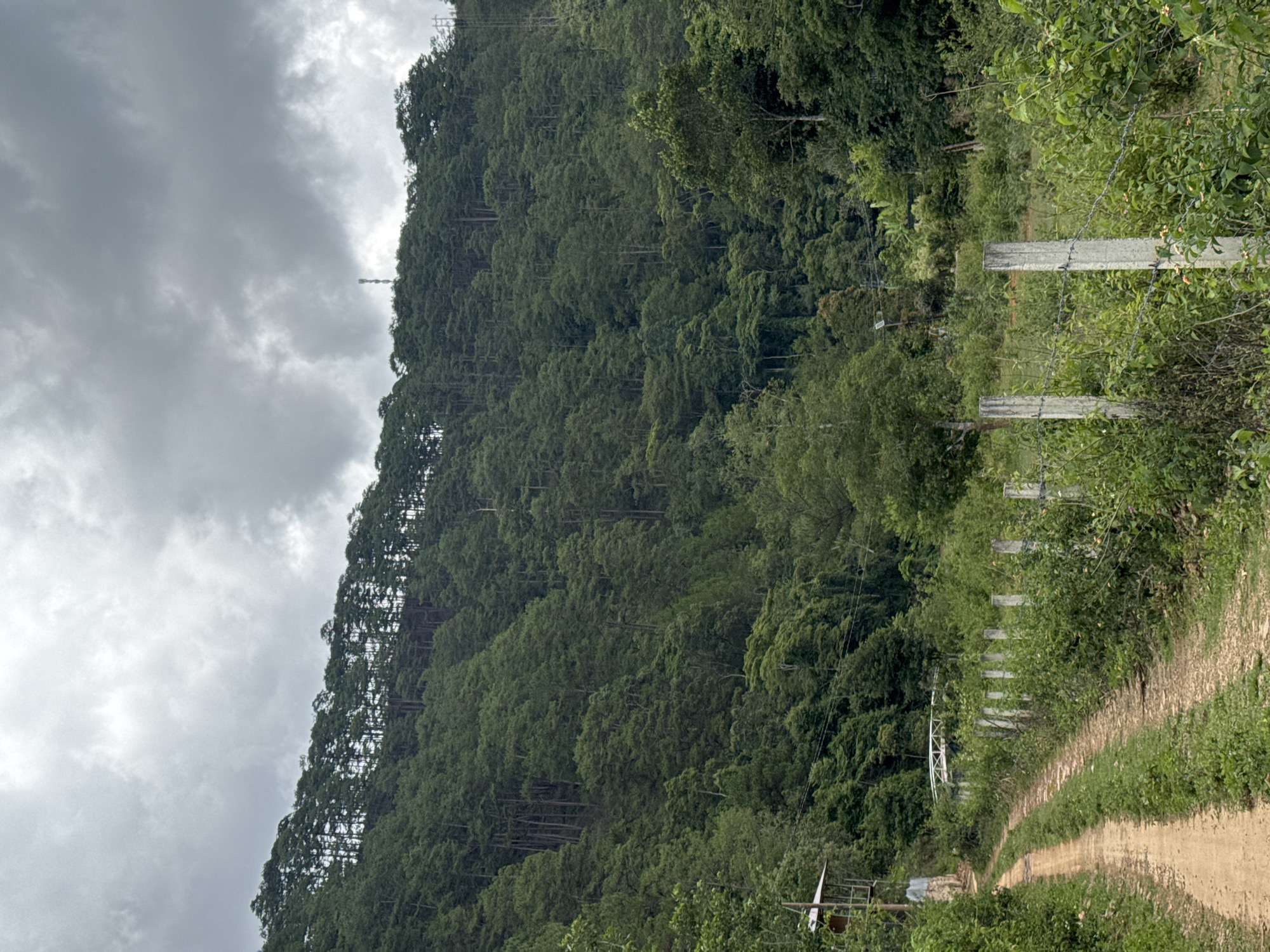 A dirt path extends into the distance along a fence line, bordered by lush vegetation and a dense, tree-covered hillside. Overcast skies cover the area. The location is Păng Tiêng 1, Vietnam.