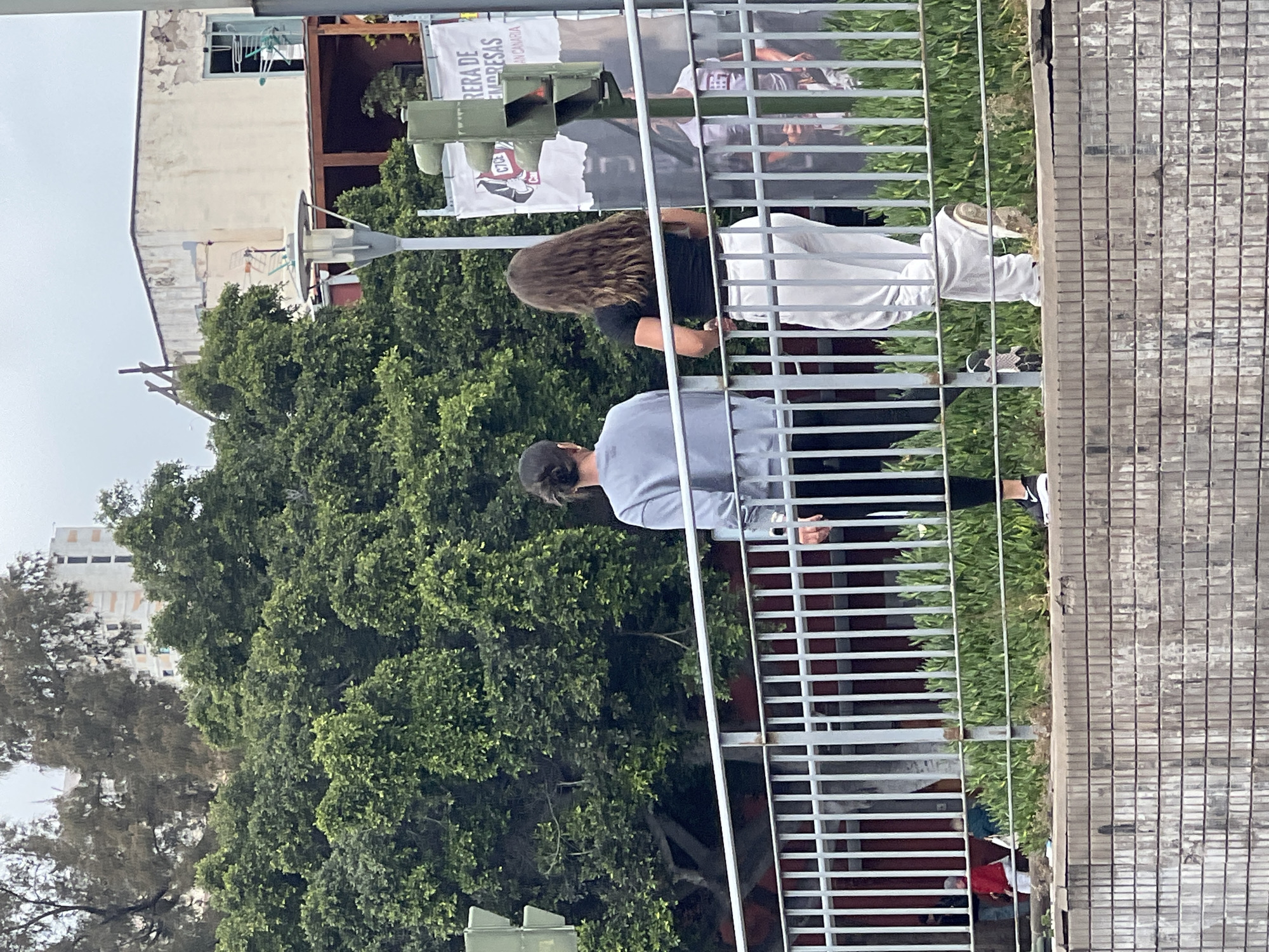 Here is a description of the image:
The image, taken at eye level, depicts two individuals walking past a metal railing. The first individual, closest to the camera, is wearing a light grey top, black pants, and black and white sneakers. They have short, dark hair and are wearing a dark baseball cap. The second individual, positioned further back, has long, wavy brown hair and is wearing a black top and white pants with white shoes. Both individuals are walking from left to right. A sign is fixed to the railings between the two figures. In the background, lush green trees dominate the view, with buildings of varying heights visible behind the trees. The foreground shows a tile-covered area on the other side of the railing. Based on the style of the railing, the buildings, and the vegetation, the location is most likely in the city of Las Palmas in Spain.