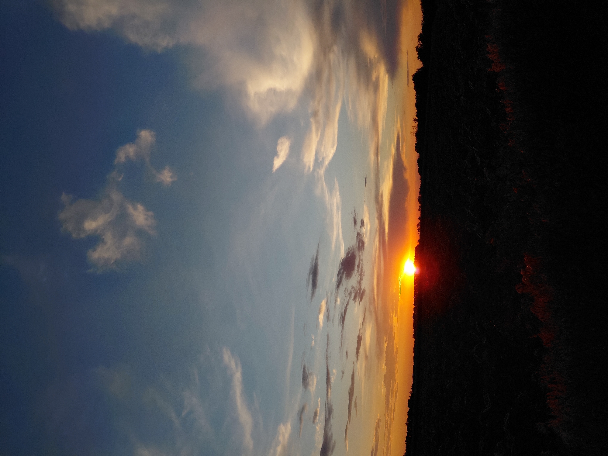 A vertical, full shot captures a sunset over a dark, rural landscape in Ustyvytsia, Ukraine. The sun, a bright orange disc, is low on the horizon, casting a warm glow across the sky and illuminating the edges of scattered clouds. The sky transitions from a deep blue at the top to shades of orange and yellow near the horizon. A silhouetted treeline runs across the bottom third of the image, separating the sky from the foreground. The foreground itself is almost entirely black, with only faint hints of texture in what appears to be a cultivated field or open land. No people or animals are visible in the scene. The overall impression is one of a serene, natural sunset.