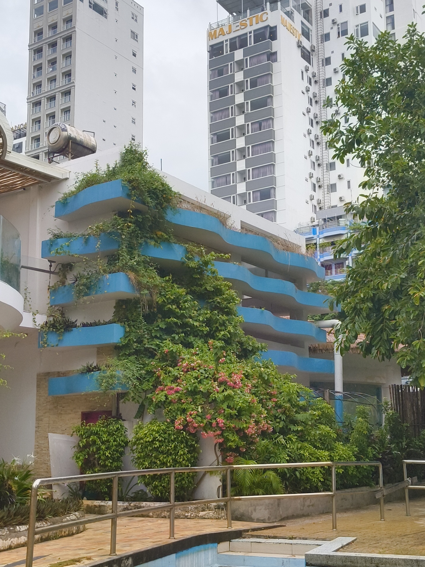 This image depicts a lushly vegetated balcony on a building with a blue, wavy facade, set against a backdrop of modern high-rise buildings in Nha Trang, Vietnam. The balcony is adorned with an abundance of green vines and flowering plants, cascading down the structure. The building itself has a white and light-colored exterior, with several floors featuring the distinctive blue accents. In the background, two tall buildings rise, one with the prominent "MAJESTIC" signage in gold lettering, suggesting a hotel or resort. The foreground shows a tiled walkway and a swimming pool, partially visible. The overall scene conveys a tropical, urban environment where nature intertwines with architecture.