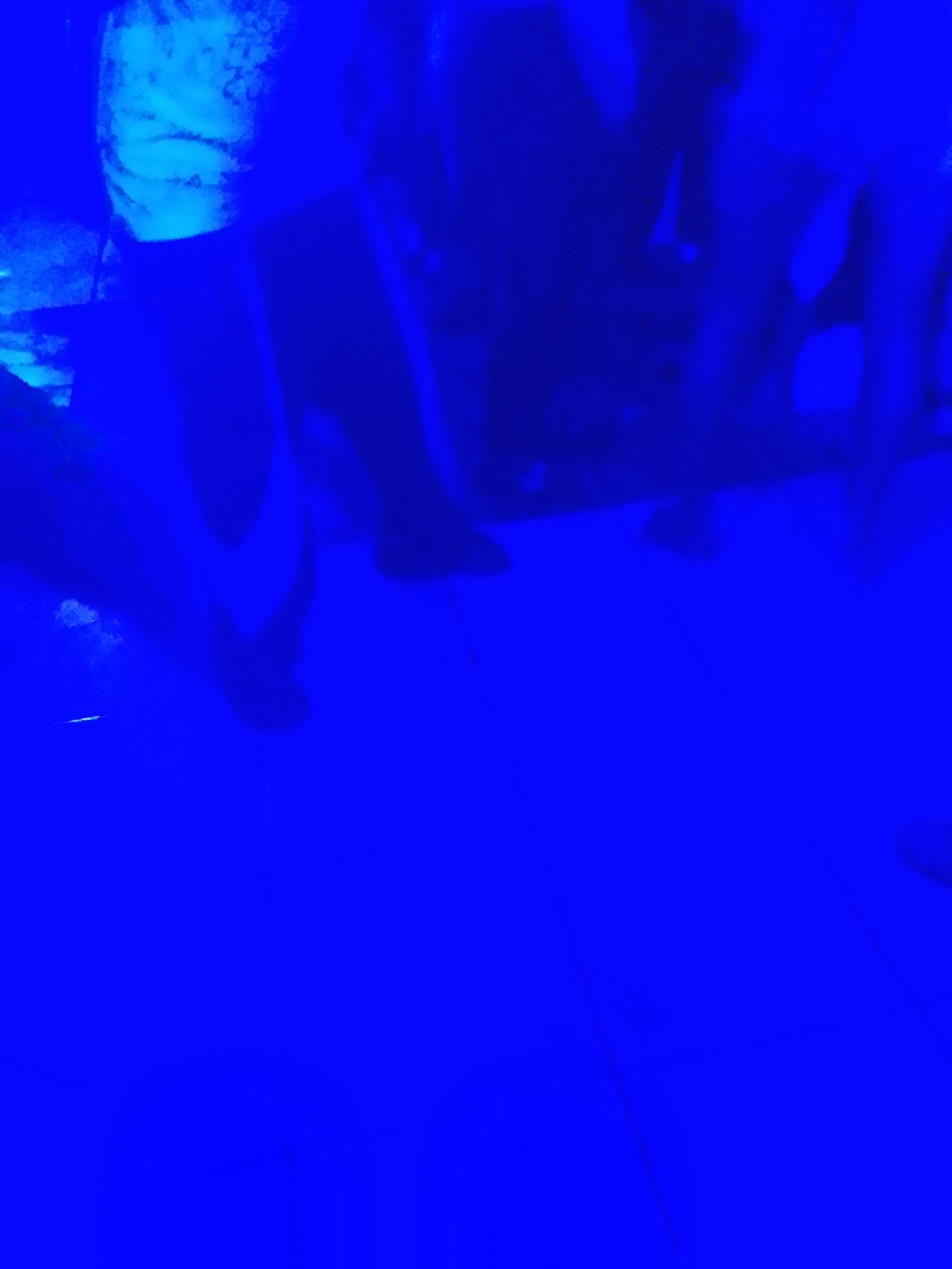 The image, shot with a blue filter, shows a close-up of what appear to be people's legs in motion, possibly dancing or walking. The figures are blurred and indistinct due to motion blur and the monochromatic lighting. The background is a solid blue, with no discernible environmental details to place the scene in any specific city or location. The lower half of the image is a uniform expanse of blue, suggesting it might be a floor or stage illuminated by blue light.