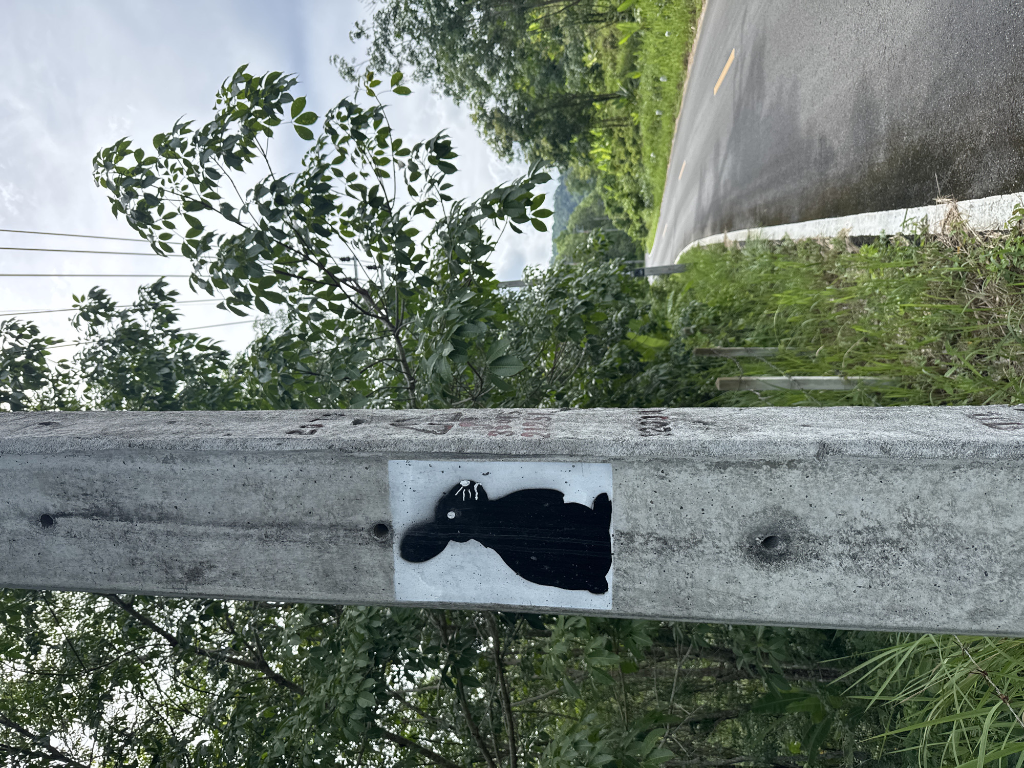 A concrete utility pole stands beside a rural road, likely a public thoroughfare, in Pa Khlok, Thailand. The pole has a rectangular white sign featuring a stylized black image that resembles a prone animal, perhaps a dog or rabbit. The road is asphalt and shows signs of recent rain. Lush vegetation lines the roadside. The sky is overcast.