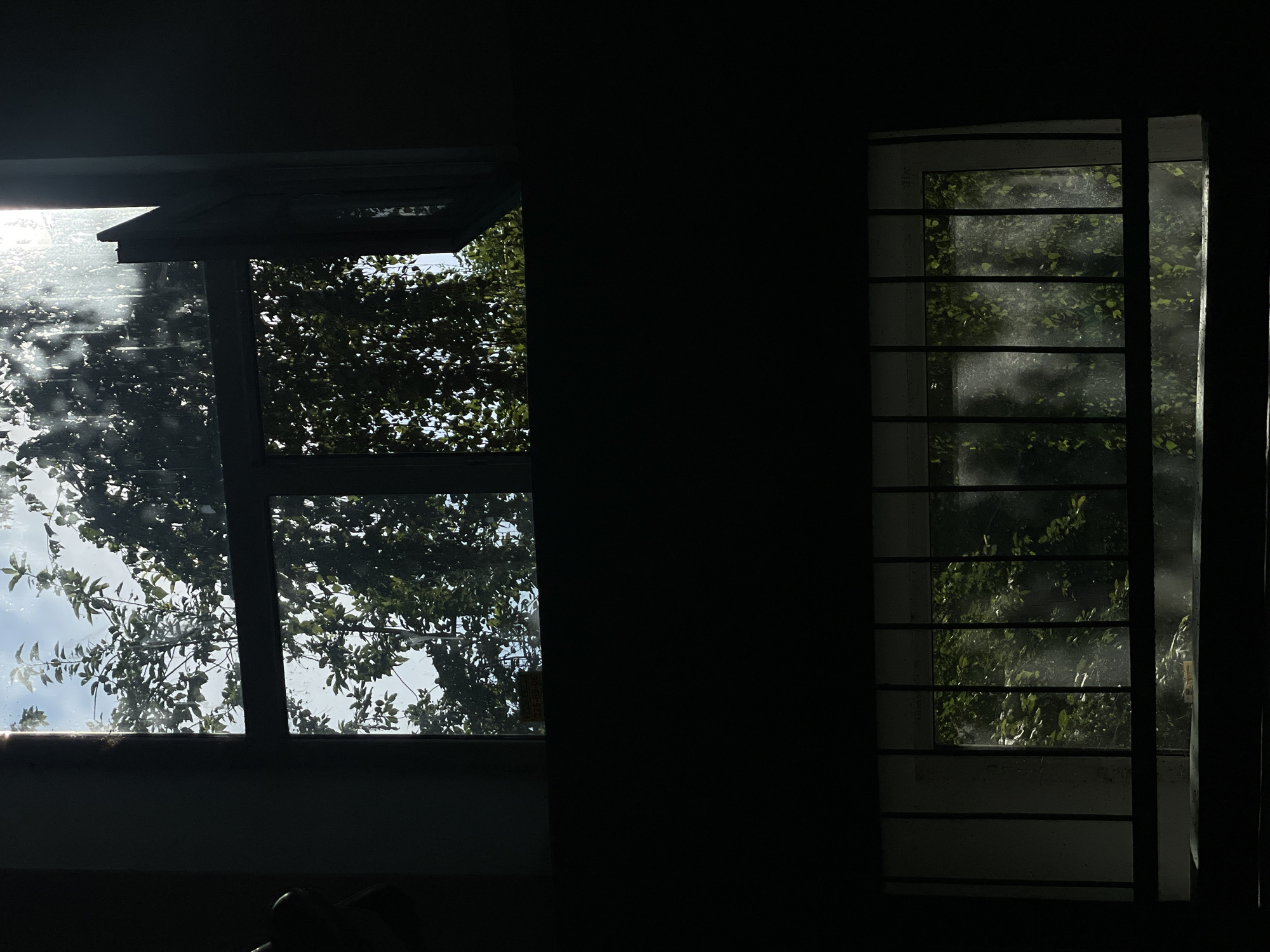 The image shows two views of windows looking out onto trees. The top window is larger and divided into two panes, with one pane slightly ajar. Sunlight streams through the leaves of the trees and illuminates the window. The bottom window is smaller and appears to have bars on the outside. It also looks out onto trees, and sunlight can be seen filtering through the leaves. The overall impression is one of being inside a building looking out at nature. The lighting suggests it is daytime.