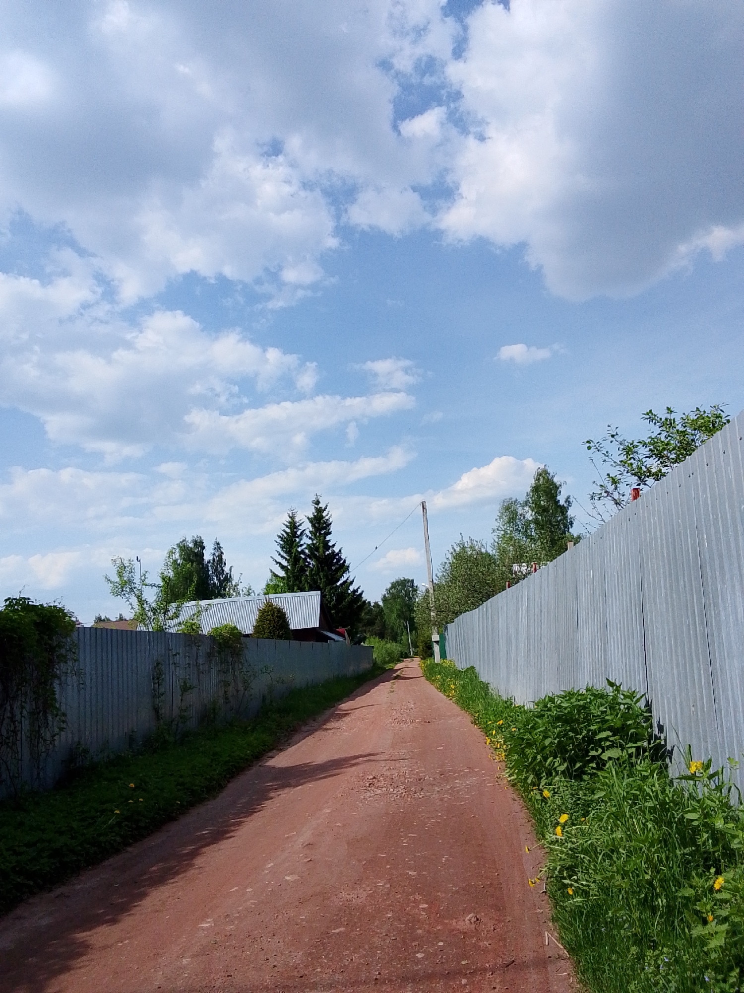A rural dirt road bisects the scene, stretching into the distance. On either side of the road stand tall, corrugated metal fences, their surfaces reflecting sunlight. Green vegetation, including grasses and weeds, grows along the base of the fences. Trees and other greenery are visible beyond the fences. The sky above is blue with scattered white clouds. The dirt road is reddish-brown in color and appears somewhat uneven. The image appears to be taken in Снопок Новый, Russia, characterized by its rural landscape.