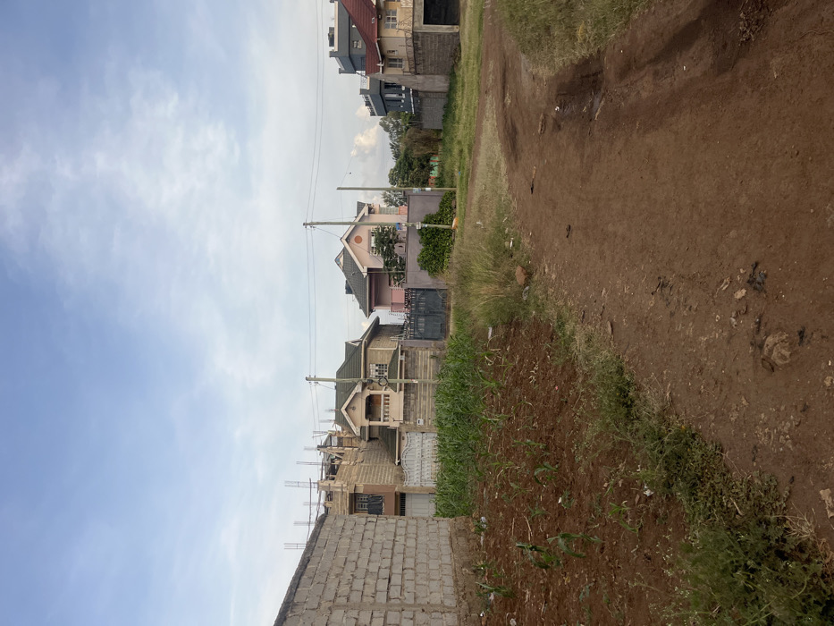 This image depicts a residential scene in Gitothua ward, Kenya, characterized by a mix of developed and undeveloped land under a partly cloudy sky.
In the foreground, a reddish-brown dirt path curves gently from the lower left to the right side of the frame, showing signs of vehicle tracks and minor erosion. To the immediate left of the path, a patch of cultivated red soil contains numerous young green plants, consistent with corn or maize shoots, arranged in rows. Further left, a partially constructed wall made of light-colored concrete blocks stands vertically.
The midground features several houses. Immediately behind the cultivated land, a two-story house is under construction, identifiable by exposed rebar extending upwards from the unfinished roofline and raw brickwork. Adjacent to it, a beige-colored finished house with a dark green roof and a small balcony is visible, enclosed by a white-gated fence. Further right, a pink-colored house with a dark roof and another small balcony is visible, also behind a dark-colored metal gate. Utility poles with overhead wires run horizontally across the scene, connecting to some of the properties. More distant houses, including one with a gray upper story and a red roof, are visible on the far right.
The background shows scattered green vegetation and trees beyond the houses. The sky is a light blue with sparse white, wispy clouds, suggesting either early morning or late afternoon lighting conditions. No people or active interactions are visible in the scene.