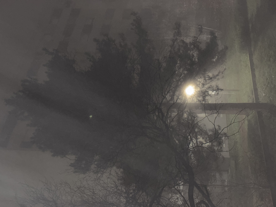 A nighttime scene obscured by heavy fog. A leafless tree dominates the foreground, silhouetted against the blurry glow of a street lamp. The branches are bare and intricate, reaching upwards into the mist. In the background, indistinct structures are barely visible, partially obscured by the dense fog. The overall tone is eerie and atmospheric, with a sense of quiet isolation.