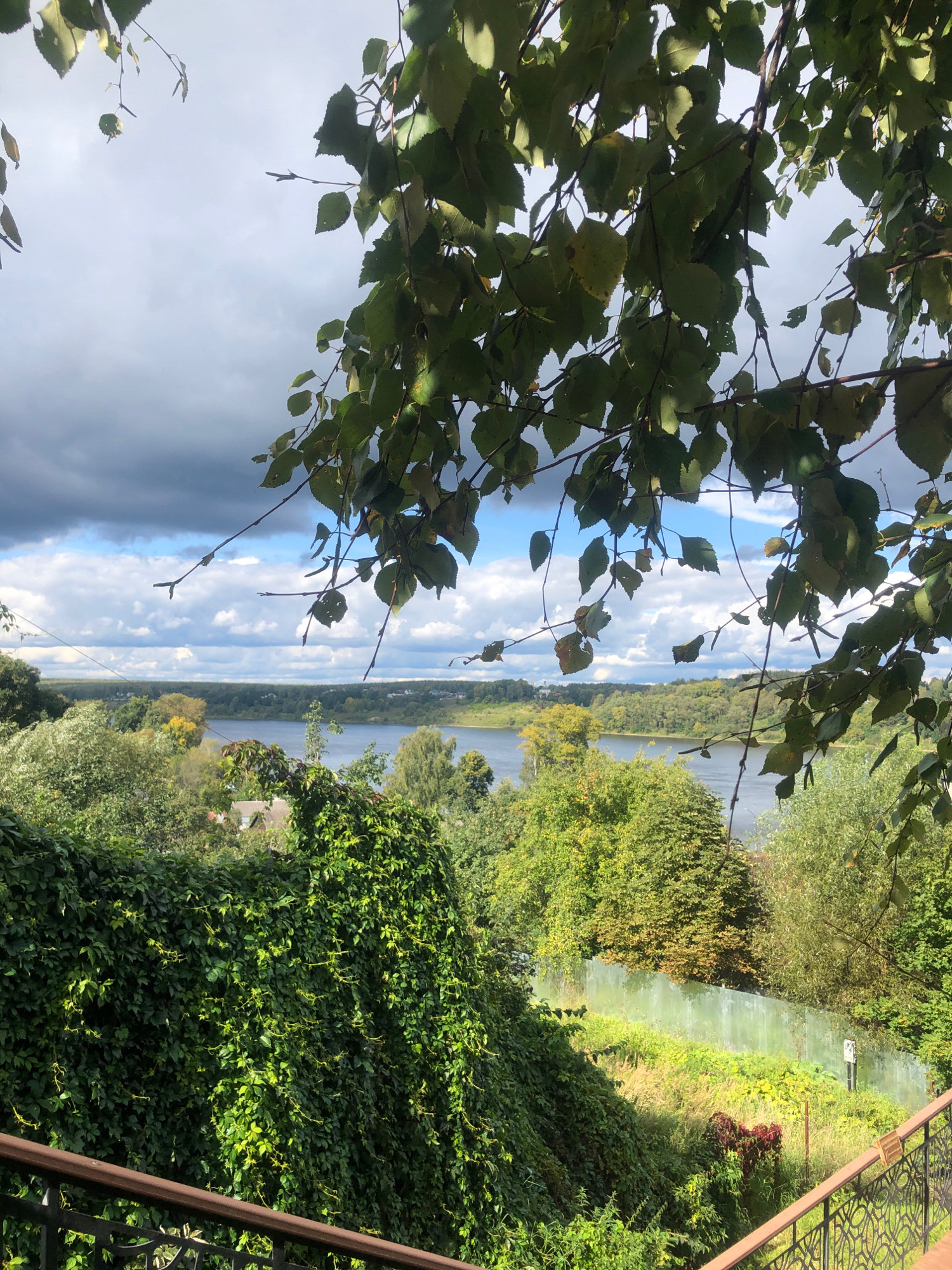 The image depicts a scenic view of the Volga River in Tutaev, Russia, likely from an elevated vantage point. In the foreground, branches with green leaves hang down, partially obscuring the sky which is a mix of blue sky and dark, cloudy patches. Below the branches, dense green foliage, appearing to be ivy or a similar climbing plant, covers a steep incline. A metal railing with an ornate design runs along the bottom right of the frame, suggesting a balcony, terrace, or overlook.
Beyond the immediate greenery, the landscape opens up to reveal the wide expanse of the Volga River. The river is calm and reflects the sky. Across the river, the opposite bank is lined with a dense forest of green trees, with occasional hints of autumnal colors appearing on some deciduous trees. Small buildings or houses can be seen nestled amongst the trees on the distant bank. A light-colored fence, possibly made of glass or frosted material, runs horizontally across the middle ground, separating the overgrown vegetation from a grassy area below. The overall impression is one of a natural, tranquil setting within a city. There are no people or animals visible in the image.