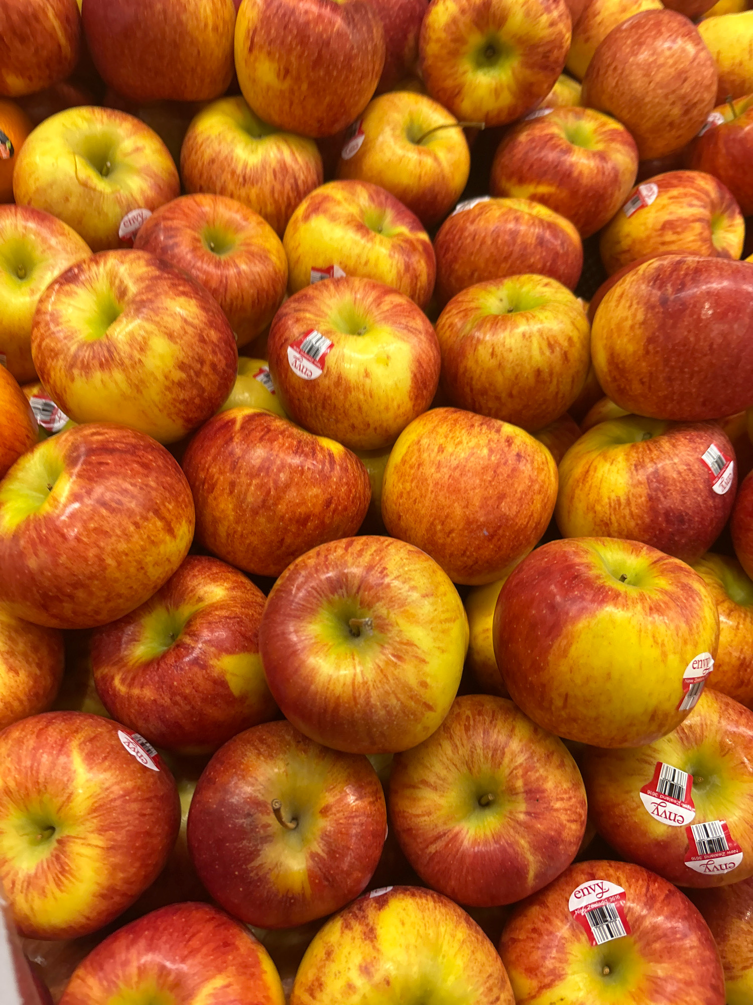 A close-up, overhead shot displays a large pile of Envy apples, their vibrant yellow and red skin creating a mottled, appealing texture. The apples are packed closely together, filling the frame. Some apples have stickers visible, reading "envy" and "New Zealand 3616". The lighting suggests an indoor environment, possibly a market or grocery store display in North Jakarta, Indonesia. There are no people or actions depicted in the image.