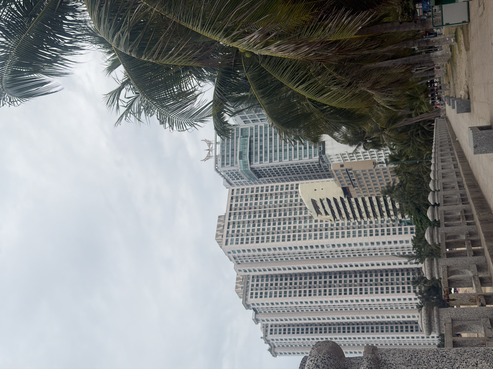 A low-angle shot depicting a view in the Bac Nha Trang Ward, Vietnam, features palm trees overhead, partly obscuring the view of tall buildings. The architectural style of the buildings suggests modern construction, characterized by many windows and clean lines. Adjacent to the buildings, a weathered stone barrier is visible, likely bordering a path or a waterfront. The sky is overcast.