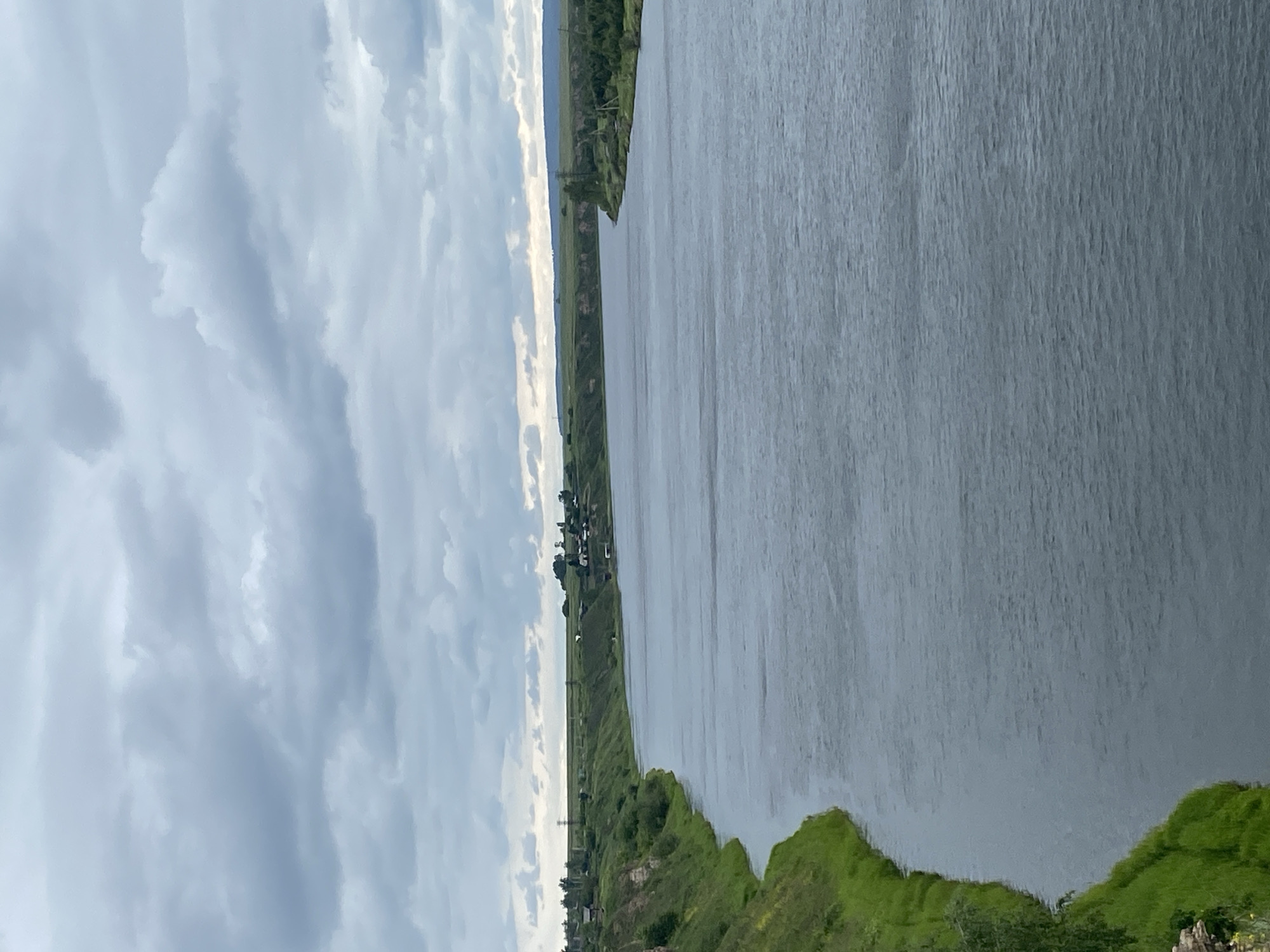 The image displays a wide, calm river with gentle ripples, flowing through a verdant landscape. The riverbanks are lined with lush green grass and foliage. On the left bank, a steep, eroded bluff rises, also covered in grass. Small clusters of houses and buildings are visible along the distant, rolling hills on the horizon. The sky above is overcast with dense, gray clouds, suggesting a cloudy day. In the distance, across the river, the landscape appears flatter with scattered trees and more signs of human settlement. The scene is serene and rural, typical of the countryside around Novomaltinsk, Russia, a town located on the banks of the Irtysh River.