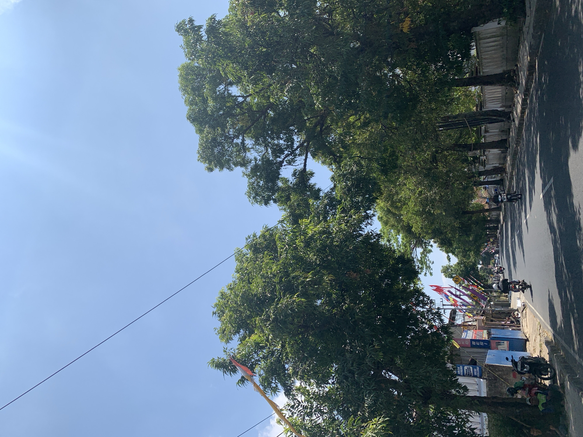 The image depicts a street scene in Ciamis, Indonesia, on a clear, sunny day. The road is asphalt, lined with mature trees on both sides, casting shadows. Various flags are strung along the roadside, adding a festive or decorative element.

On the left side of the road, a few people are seen sitting or standing near motorcycles and a blue structure that appears to be part of a building or shop. The buildings on this side of the street are low-rise and varied in color and design.

Several motorcycles are visible on the road, with one rider in the foreground wearing a white helmet and a dark jacket. Further down the street, more motorcycles are present, suggesting moderate traffic.

The environment appears to be a residential or commercial area within the city, characterized by the presence of buildings, roads, trees, and ongoing daily activities. The sky is a bright, cloudless blue, with the sun positioned high, indicating midday. The overall impression is one of a typical day in a bustling Indonesian town.