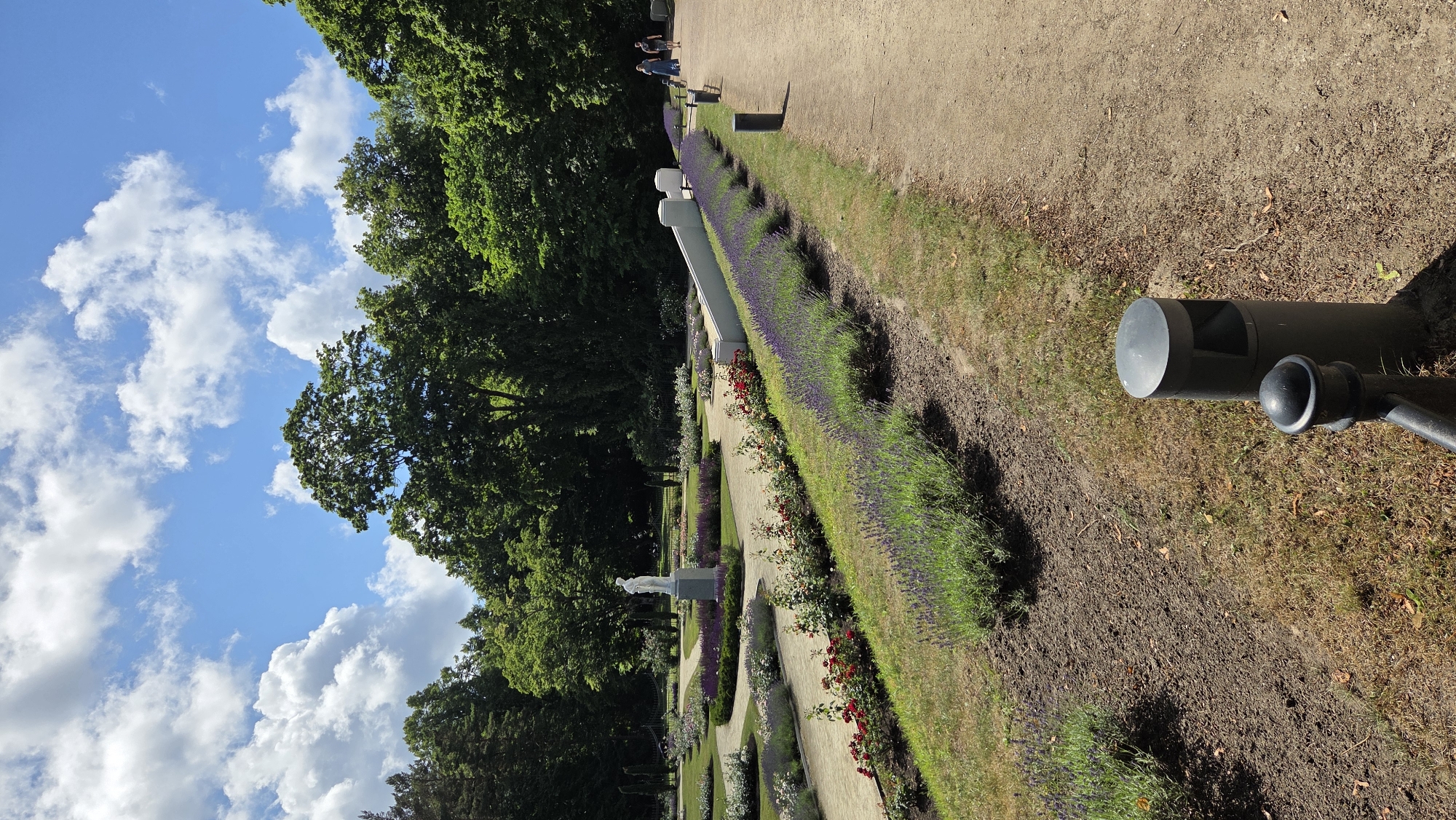 This image depicts a sunlit garden path in Palanga, Lithuania. The scene is characterized by lush greenery, with tall, leafy trees forming a backdrop on the left and a manicured garden stretching along a sandy path on the right. The garden features rows of blooming lavender and red roses, bordered by grass and mulch. A white statue stands prominently amidst the flowers, and in the distance, a few people stroll along the path. The sky above is a vibrant blue, dotted with fluffy white clouds, suggesting fair weather. A dark, cylindrical trash receptacle is visible in the foreground on the right. The overall impression is one of a serene and well-maintained outdoor space on a pleasant day.