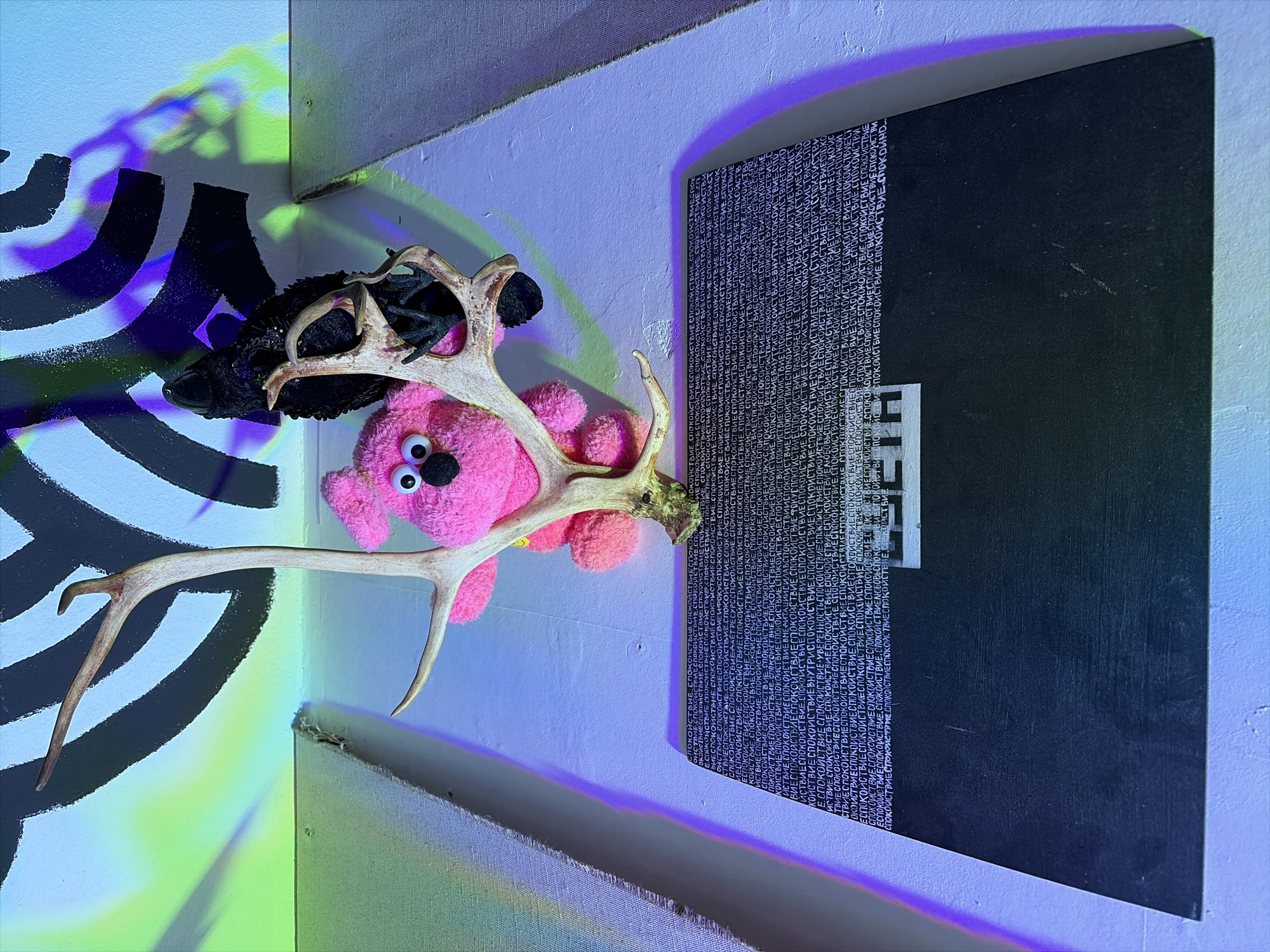 The image shows a still life arrangement against a wall decorated with abstract black and white stenciled patterns. In the center, a pink plush toy with large googly eyes is positioned between deer antlers. A black, textured bird figurine is attached to the antlers. The arrangement is illuminated by colored lights, casting green and purple shadows. Below the arrangement, a black rectangular plaque displays a dense block of white text, repeating the word "спокойствие" (spokoystviye, meaning "calmness" or "peace" in Russian). A smaller white rectangle with the text "SETH" is visible in the center of the plaque, overlaid on the repeating word. The background appears to be a wall with some textured fabric or canvas elements attached. The overall lighting and presentation suggest an art installation or exhibition. The image does not contain any recognizable landmarks or indicators that would allow for specific location identification within Moscow, Russia.