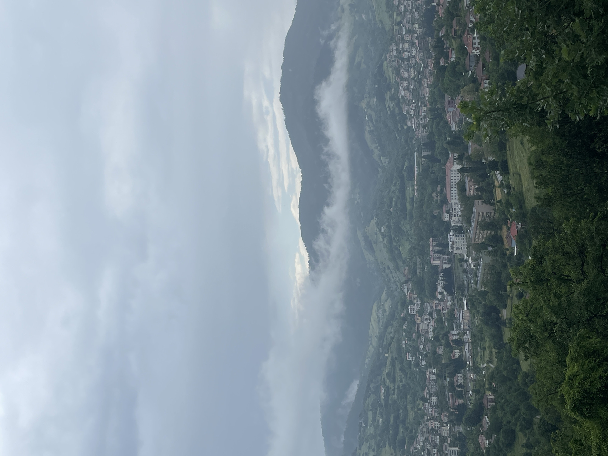 A high-angle, panoramic photograph captures a verdant, mountainous landscape under an overcast sky, with the town of Ardino, Bulgaria, nestled within the valleys and slopes. The sky, occupying the upper third of the frame, is entirely covered by a thick, uniform layer of pale grey clouds, indicating heavily overcast conditions with no visible sunlight.

In the mid-distance, a series of dark green, densely forested mountains and hills dominate the scene. Patches of low-hanging mist and fog obscure the middle sections of these mountains, particularly on the left side, giving way to clearer views of their peaks and lower slopes. A distinct band of mist runs horizontally across the lower parts of the mountains in the center and right.

Below the mountains, the town of Ardino unfolds across the valleys and ascending hillsides. Numerous buildings, predominantly residential, are scattered throughout the landscape. These include individual houses with tiled roofs, often in shades of red, orange, and brown, as well as larger, multi-story apartment buildings. The structures are a mix of white, beige, and light-colored facades. The town's layout follows the natural contours of the terrain, with clusters of buildings interspersed with green spaces, fields, and roads.

The foreground is characterized by dark green foliage and tree branches, partially framing the view of the town and mountains beyond. The overall impression is one of a serene, rural town integrated into a lush natural environment, under a muted, diffused light typical of a cloudy day. No individuals or specific human activities are discernibly visible.