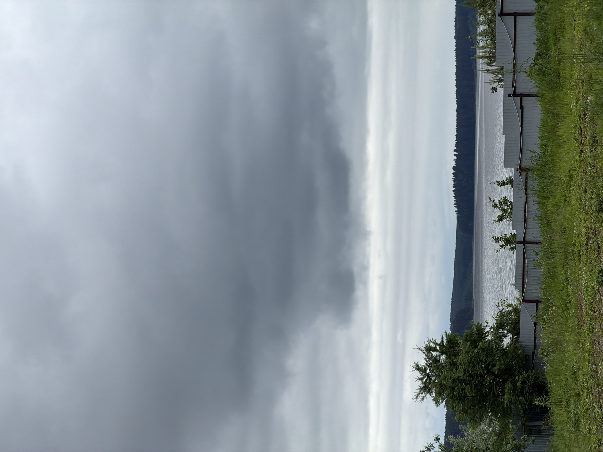 The image depicts an overcast landscape in Votkinsk, Russia, characterized by a dominant grey sky, a wide body of water, and forested distant shores. The upper two-thirds of the frame show a heavy, multi-layered cloud cover, with darker grey clouds overhead gradually lightening towards the horizon. A large body of water, exhibiting surface ripples, occupies the middle ground, reflecting the uniform grey of the sky. The distant shoreline is defined by a dense, dark green coniferous forest spanning the entire width of the background. In the foreground, an unmaintained area of ground is covered with green grass and various wild plants. A light grey corrugated metal fence, featuring dark brown posts and horizontal wires, runs along the immediate mid-ground, separating the grassy area from the water. A tall, dark green coniferous tree is prominently positioned on the left side of the foreground, with additional green shrubs and foliage visible near the fence line. No people or animals are present.