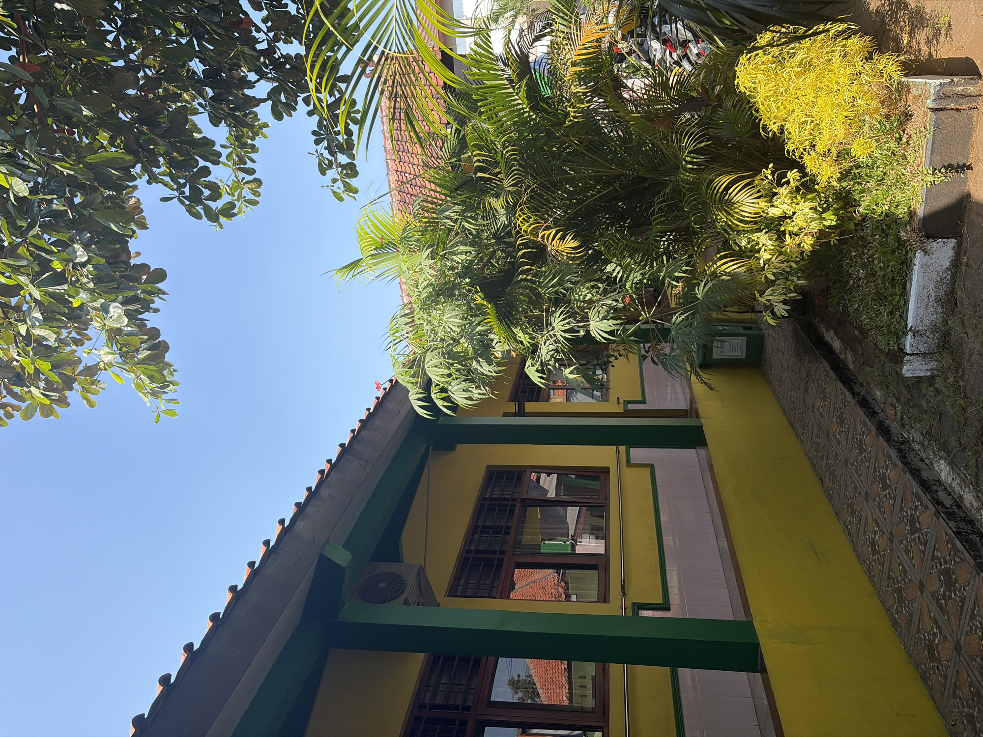 The image depicts the exterior of a building, likely in Pasekaran, Indonesia, under a clear blue sky. The building's facade is painted yellow with green trim. It features several windows with dark brown frames and latticed panes. An air conditioning unit is mounted on the exterior wall. A tiled pathway runs along the side of the building, bordered by a low yellow wall and a patch of grass. Lush green and yellow foliage, including palm trees, is prominent in the foreground and to the right of the building. The roof is covered with red tiles, and trees with large green leaves are visible at the top of the frame. The scene is illuminated by bright sunlight, casting shadows. There are no people visible in the image.