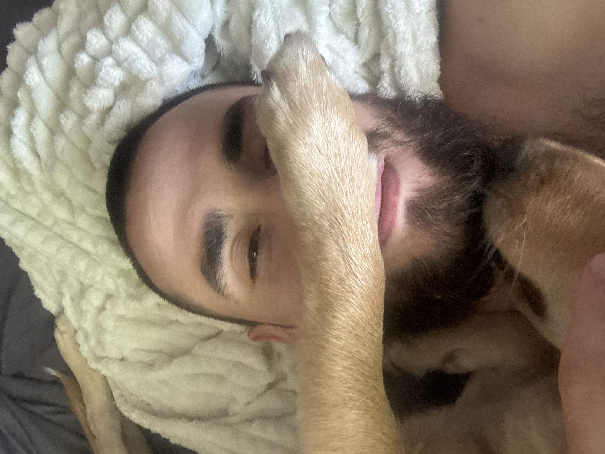 The image shows a close-up of a person's face, partially obscured by a dog's paw. The person is lying down on a fluffy, white blanket. Their eyes are closed, and they appear to be relaxed or asleep. The dog's paw is light brown and rests across the person's forehead and eye. The person has dark eyebrows and stubble on their face. The background is blurred, but it appears to be a dimly lit room. The overall impression is one of intimacy and comfort between the person and the dog. There is no visible text in the image. The time of day is not discernible.