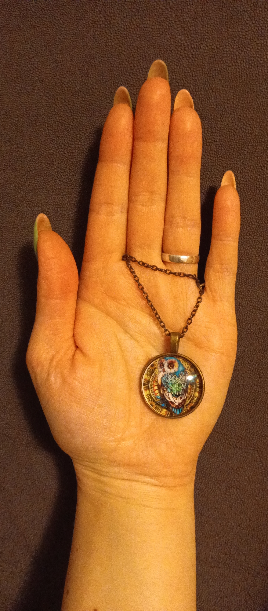 A human hand holds an owl pendant. The hand has a silver ring on the ring finger. The fingernails are filed long. The scene is set against a plain, dark brown background. The location is Unknown, Unknown.