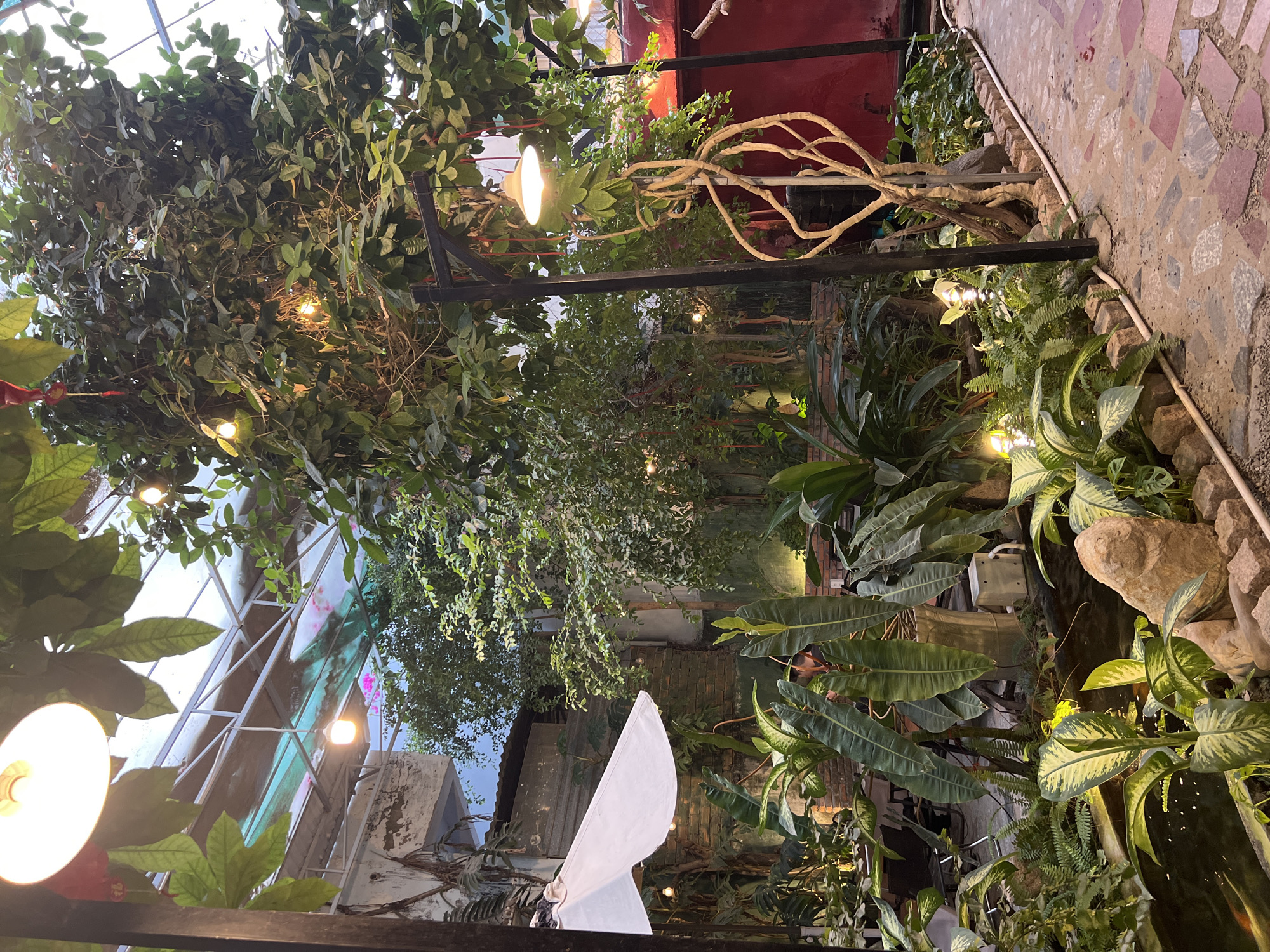 The image captures an indoor garden setting, possibly a restaurant or greenhouse, in Unknown, Unknown. Overhead, a metal framework supports vines and plants, with string lights interwoven among the foliage. Below, various potted plants and ferns create a lush, green environment. A rock border defines an area with water elements, suggesting a pond or stream. The floor is paved with irregular stone tiles. In the background, buildings are visible through the foliage, indicating the location is within a city. The angle of the photograph is slightly tilted. A white, possibly decorative object is also present within the scene. No people are readily discernible in the image.