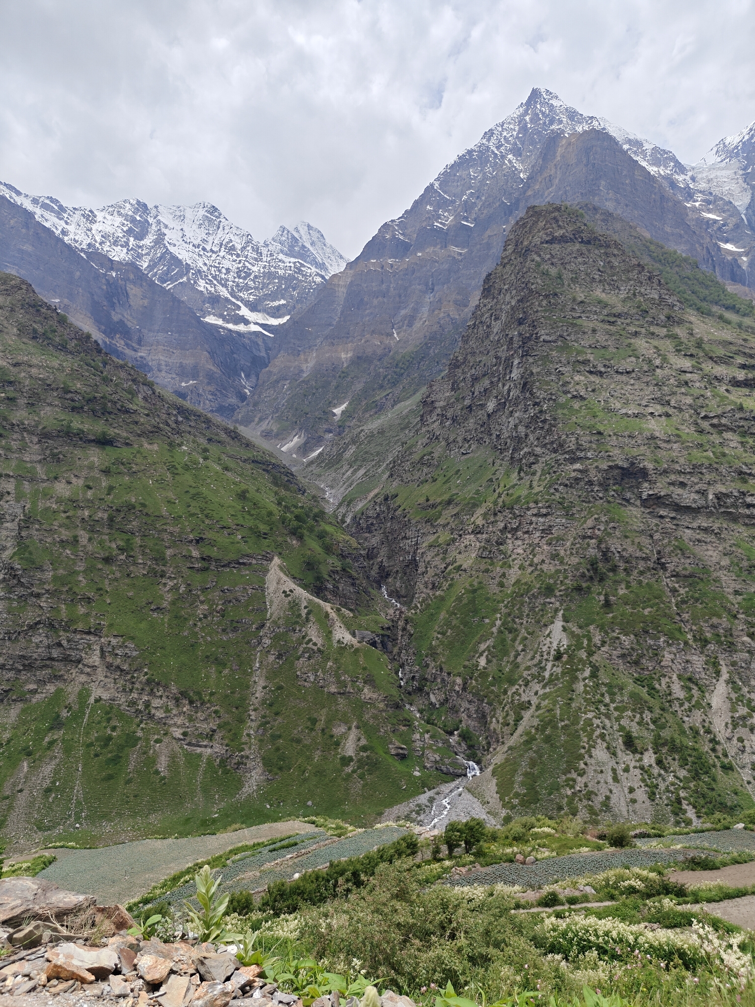 The image depicts a vast, mountainous landscape, characteristic of the region around Jogle, India. Towering peaks, partially covered in snow, dominate the background. The slopes of these mountains are a mix of rugged rock faces and green vegetation, with patches of grass and scattered trees. A narrow stream winds its way down a valley, carving a path through the terrain. In the foreground, terraced fields are visible, suggesting human cultivation in this otherwise wild environment. The sky is overcast with clouds, creating a diffused light across the scene.