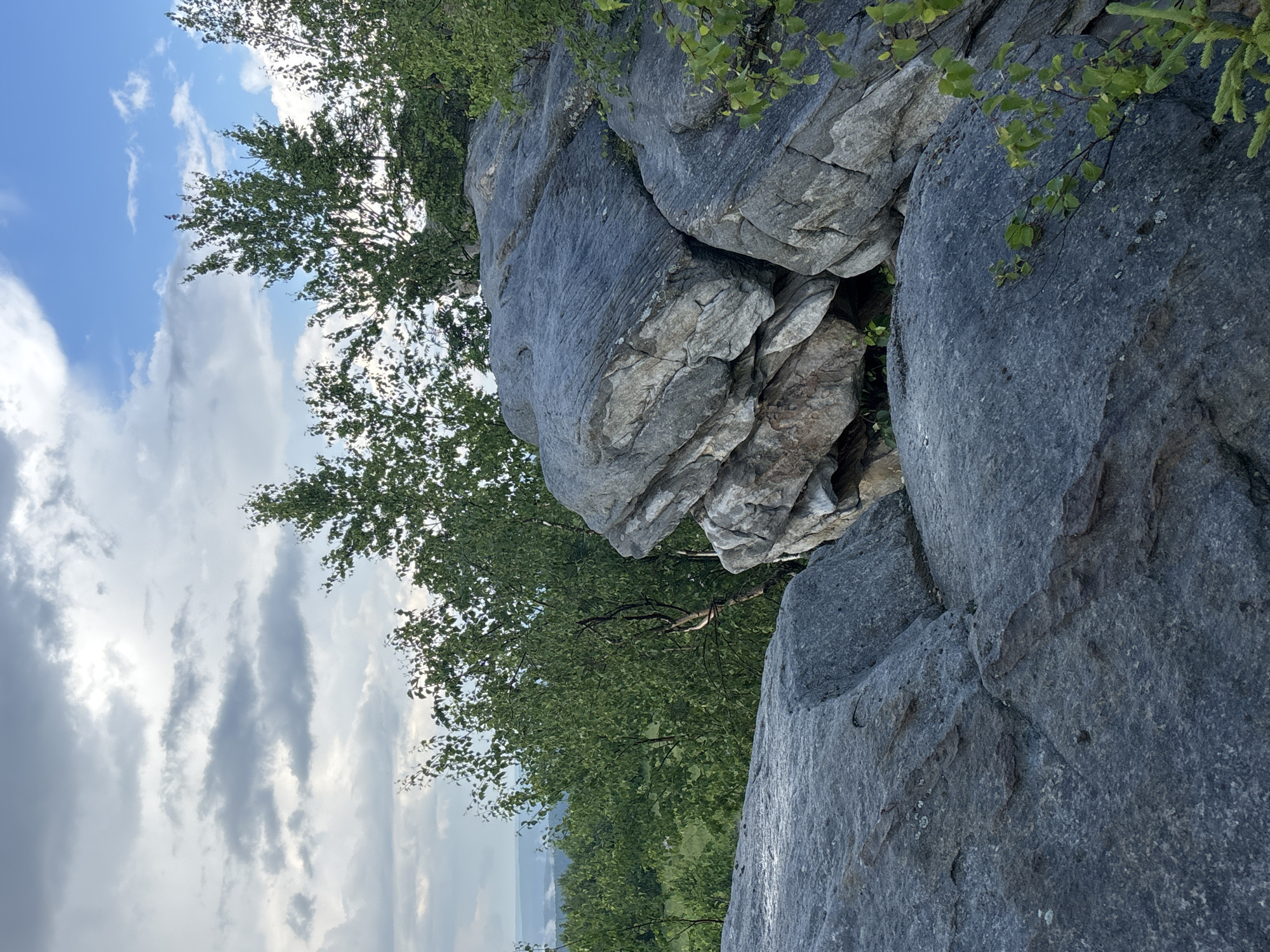 The image depicts a rocky outcrop with trees and a cloudy sky, likely taken on the Kiselovsky Ridge near the city of Gubakha, Russia. The foreground is dominated by large, grey boulders, some of which appear weathered and fractured. Lush green trees, with thin trunks and abundant leaves, grow behind and around the rocks. The sky above is a mix of grey and white clouds, with patches of blue visible. In the distance, a hazy landscape suggests rolling hills or mountains. The scene is natural and appears to be a popular spot for outdoor activities. There are no people or animals visible in the image.