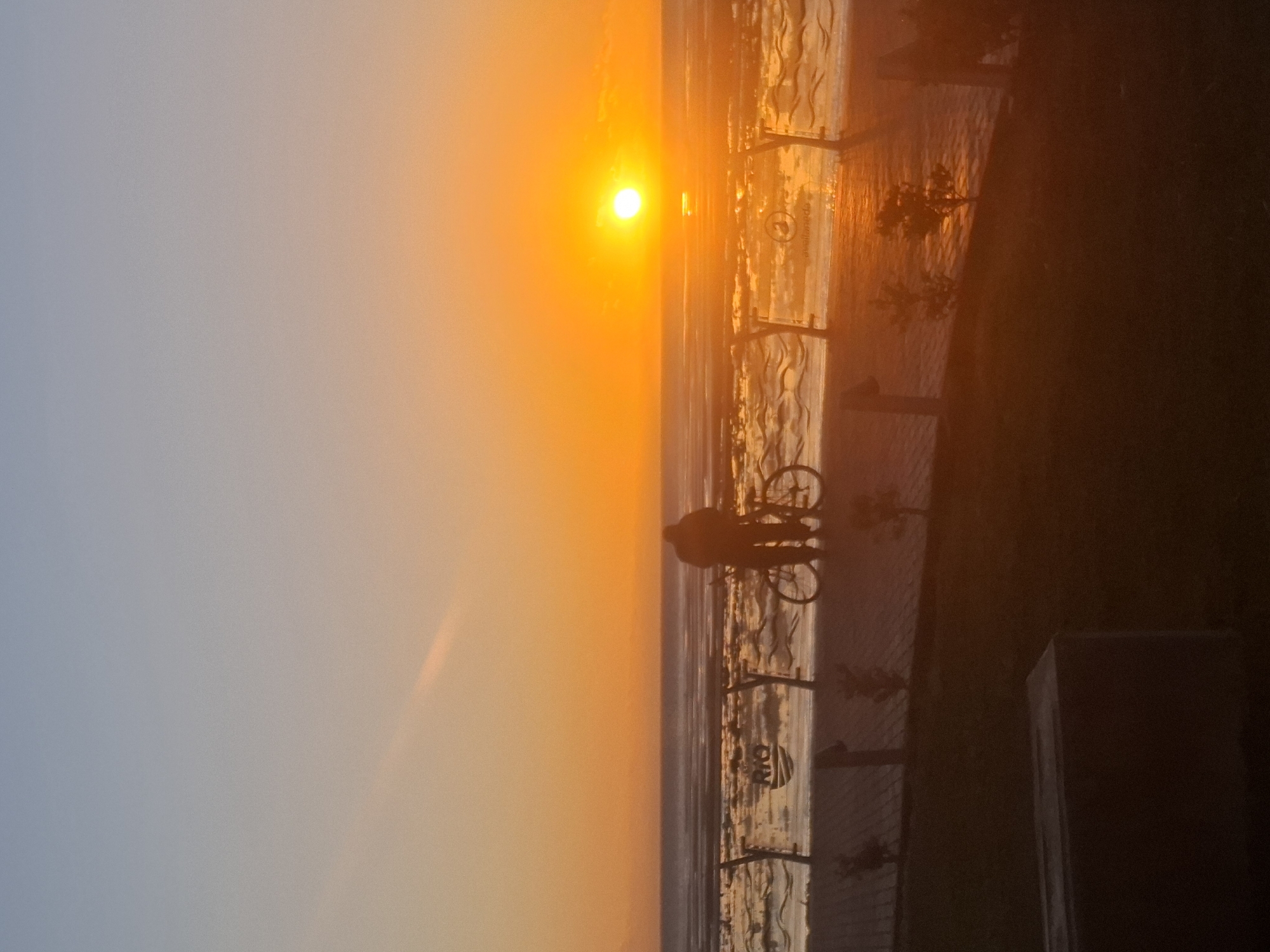 The image, taken during the golden hour, likely sunset, depicts a serene outdoor scene along a waterfront in Villa Domínico, Argentina. The sun, a bright, glowing orb, is positioned towards the right side of the frame, casting an intense orange and yellow light across the sky and reflecting on the water.
In the mid-ground, silhouetted against the bright sky and water, a person stands next to a bicycle. Both are clearly visible as dark shapes, emphasizing the dramatic backlight from the setting sun. The person appears to be facing towards the expansive water body, which could be the Río de la Plata, and the horizon.
A distinct path or promenade runs along the water's edge, separated by a decorative metal fence or railing. The intricate patterns of the fence are visible in silhouette. Beyond the fence, on the darker right side of the image, there are faint silhouettes of trees or foliage, and what appears to be part of a structure or building. The water itself shows subtle reflections and a gentle texture.
The overall color palette is dominated by warm hues of orange, yellow, and red near the sun, gradually transitioning into softer blues and greys further away in the sky. The foreground elements are deeply shadowed, creating a high-contrast and dramatic composition. The word "RIO" is faintly discernible on a sign or structure along the waterfront, possibly referring to the river or a local landmark. The atmosphere conveyed is peaceful and contemplative.