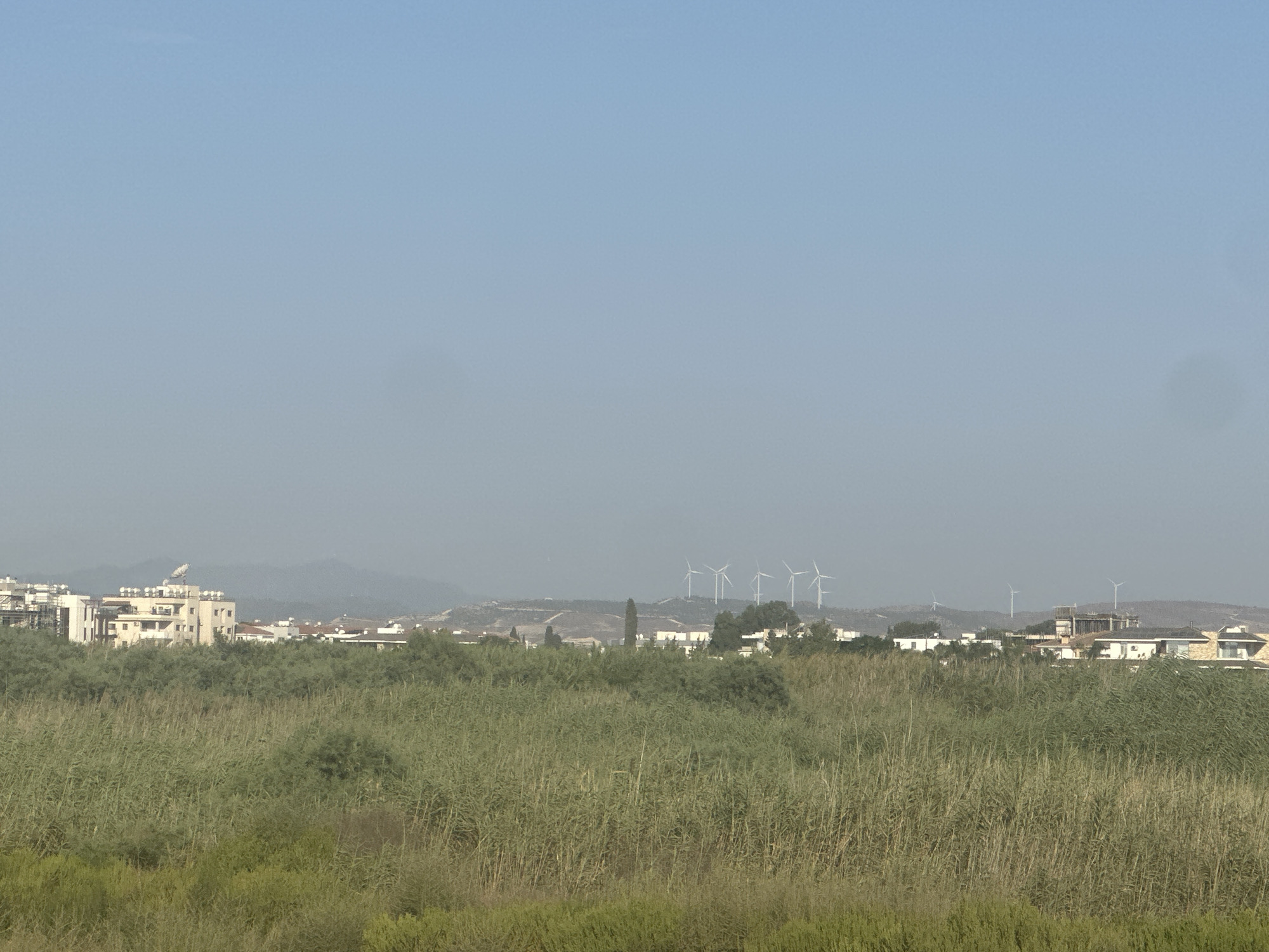 The image depicts a landscape scene in Livadia, Larnaca, Cyprus. In the foreground, dense green reeds and vegetation stretch across the frame, with some lower-lying green foliage at the bottom. Beyond the reeds, a scattering of buildings is visible, including a large, multi-story white building with satellite dishes on its roof. Further in the background, on a gentle slope, a collection of wind turbines stands against a hazy, pale blue sky. The overall impression is one of a rural or semi-rural area with residential development and renewable energy infrastructure.