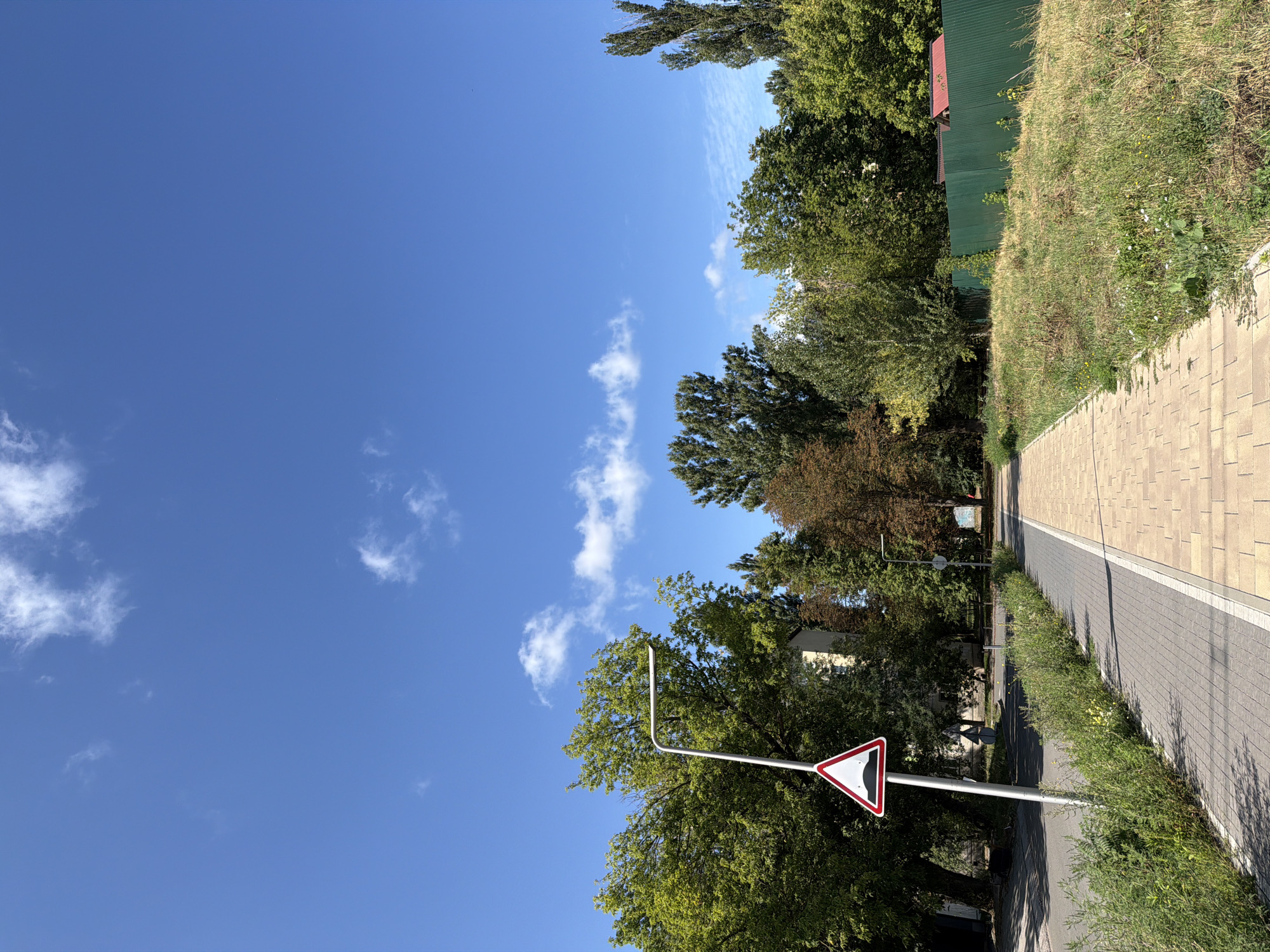 An eye-level, wide shot captures a paved pedestrian path in Kyiv, Ukraine, on a clear day with a bright blue sky and scattered white clouds. The path is divided into two sections: the left side is paved with grey interlocking bricks, and the right side is paved with tan pavers. A strip of lush green grass and wildflowers separates the path from a grassy area on the right. The grassy area is bordered by a tall, green corrugated metal fence with a red-roofed structure visible behind it.
On the left side of the path, a street sign depicting a speed bump is mounted on a tall, silver pole. This sign is triangular with a red border and a white background, featuring a black depiction of a speed bump. Trees with vibrant green foliage line the left side of the path, some reaching towards the sky. Further back, building structures are partially visible behind the trees, and another streetlamp stands in the distance. The road, paved with asphalt, is visible to the left of the pedestrian path. The scene appears to be a well-maintained urban park or walkway.