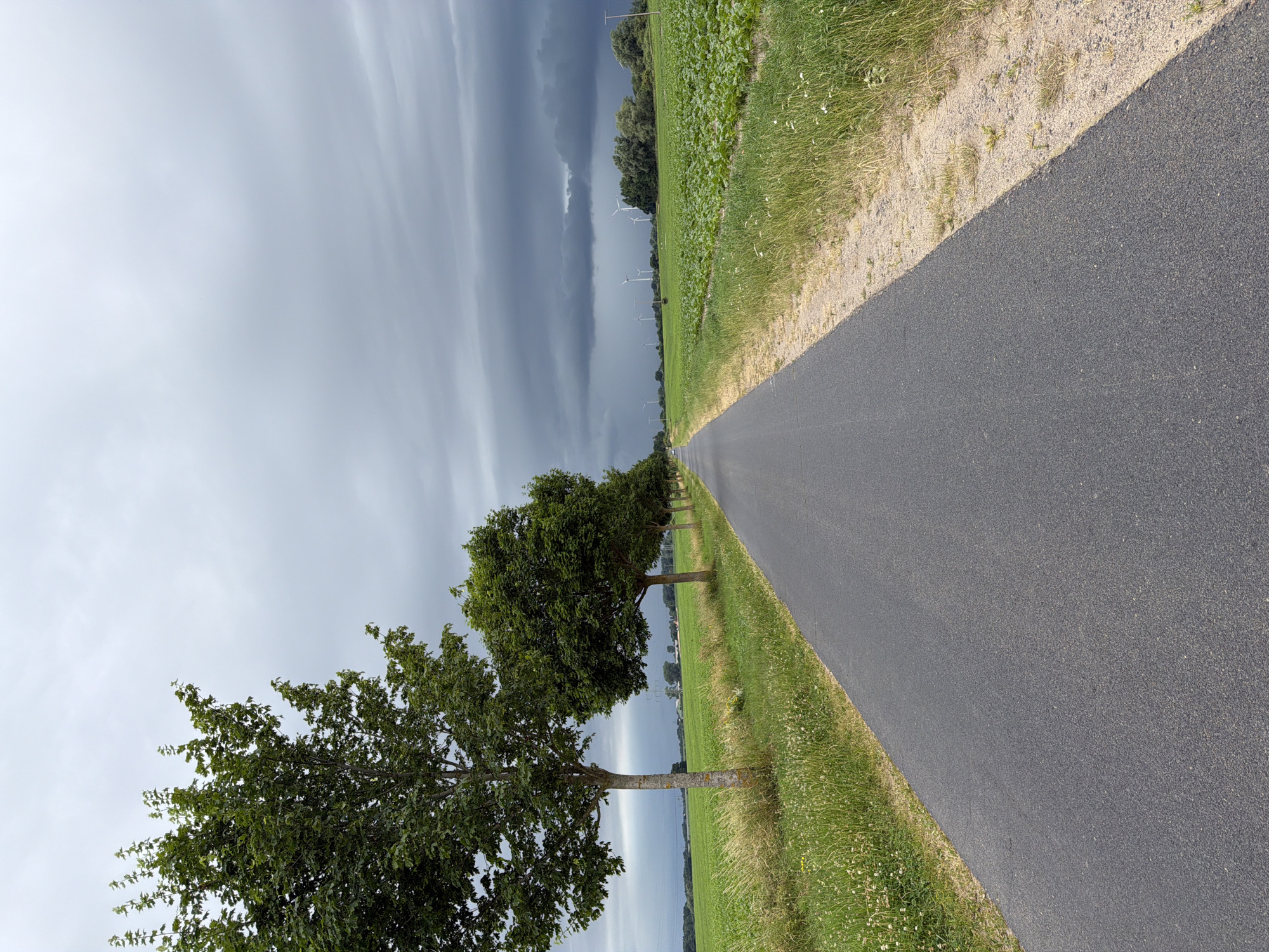 An eye-level, full shot captures a dark, asphalt road stretching into the distance under a heavily overcast sky. The road is flanked on the left by a line of mature trees, their green foliage a stark contrast to the gray sky. Beyond the trees, a vast, green field extends to the horizon. On the right side of the road, another green field is visible, with some scattered white flowers in the foreground. In the distance, several wind turbines stand against the dramatic, dark clouds, suggesting an impending storm. The overall scene depicts a rural landscape on a cloudy day.
