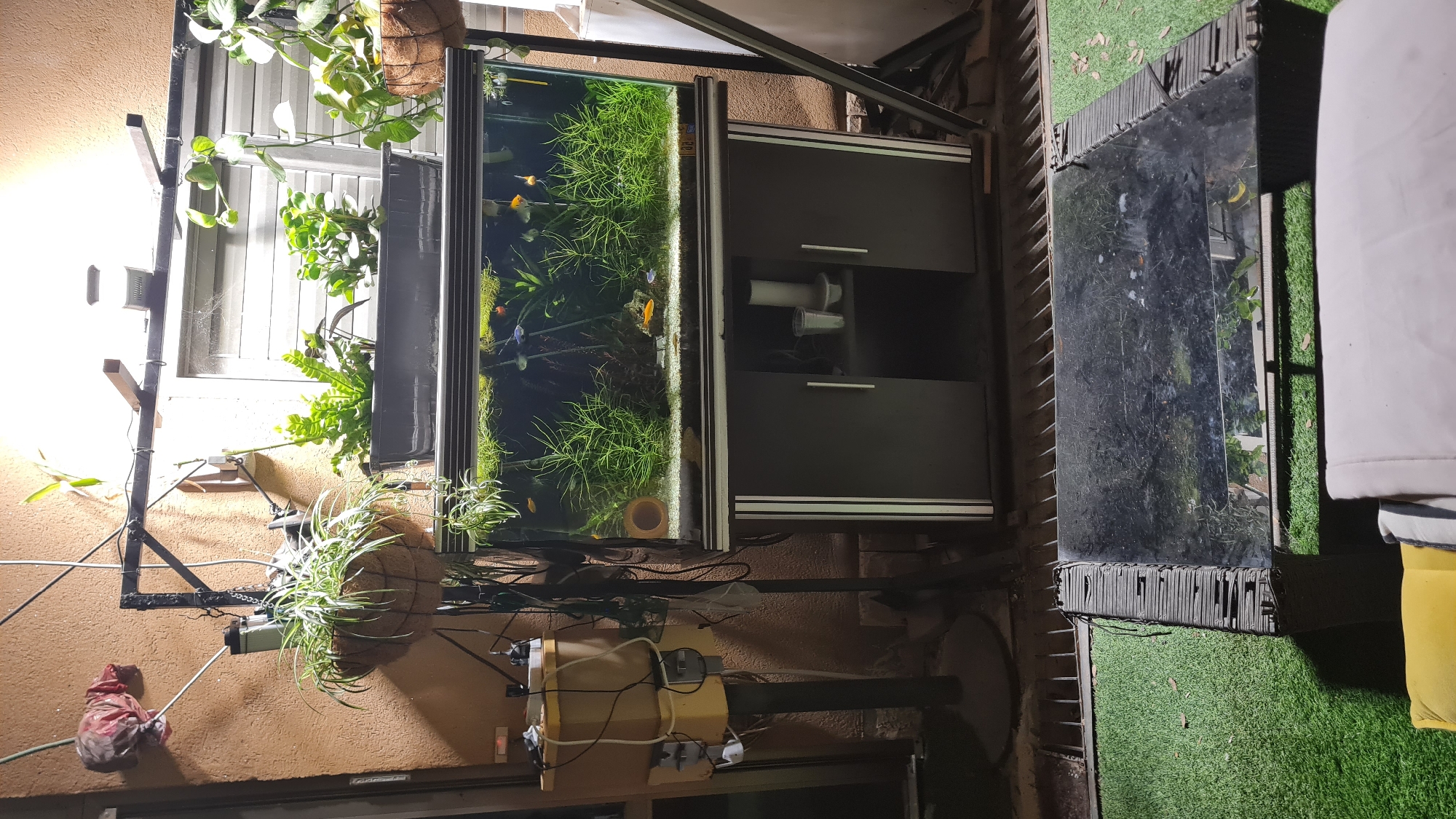 The image shows an indoor or covered outdoor area. A fish tank with aquatic plants and fish is the focal point, placed on a cabinet with two doors. Above the fish tank, hanging plants are visible. To the left, there is a wall with a window, more plants, and lighting equipment. Below the fish tank, electrical equipment is mounted. To the right is a glass-topped table placed on artificial grass. The location is Lachish Regional Council, Israel.