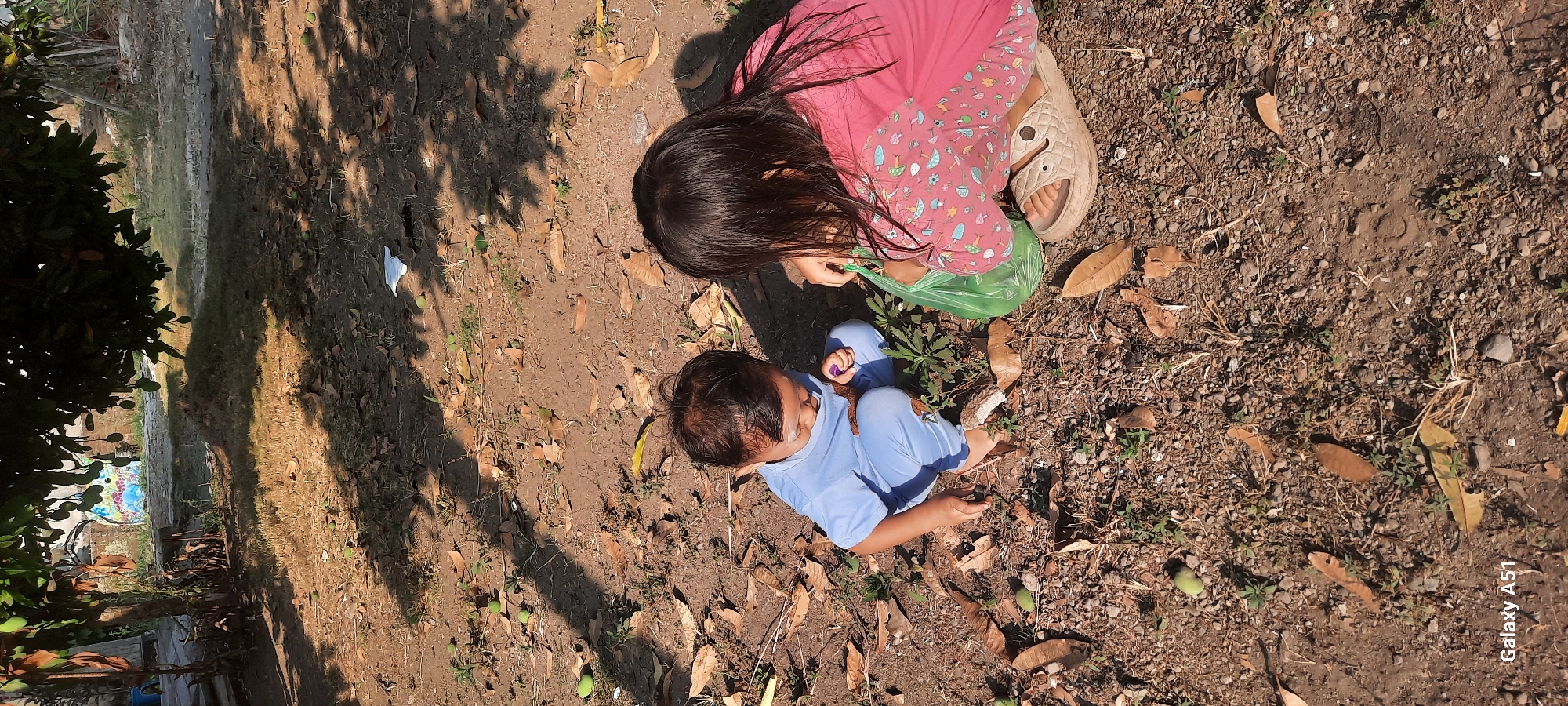 Two young children, a toddler and an older child, are sitting on the ground outdoors in Ploso, Indonesia. The toddler, wearing a blue shirt and pants, is crouched down, examining something on the ground. The older child, wearing a pink shirt with a mushroom pattern and beige sandals, is reaching into a green plastic bag. The ground is covered with dirt, dry leaves, and small pebbles. Several green mangoes are scattered on the ground. In the background, there is a tree with visible fruit and a wall with graffiti. The scene is illuminated by sunlight, casting shadows from the tree onto the ground. The camera angle is overhead, looking down at the children.